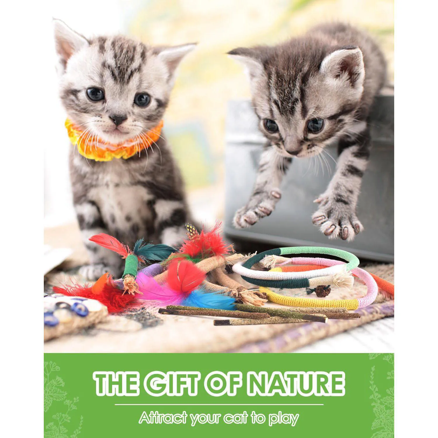 Juguetes Dentales para Gatos con Palitos de Silvervine y Cuerdas Naturales 6