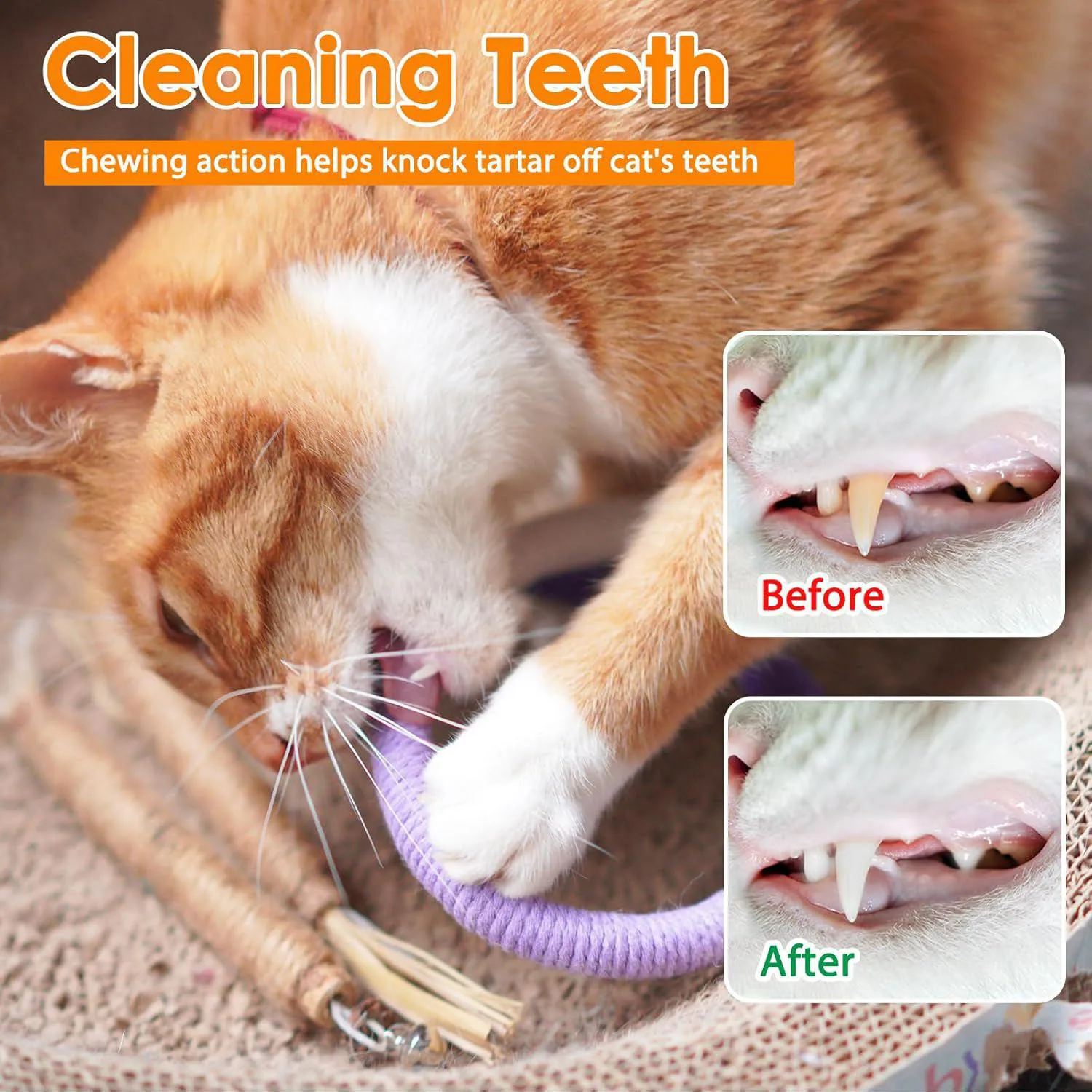 Paquete De Juguetes De Cuerda Para Gatos Con Limpieza Dental Y Material Seguro 3