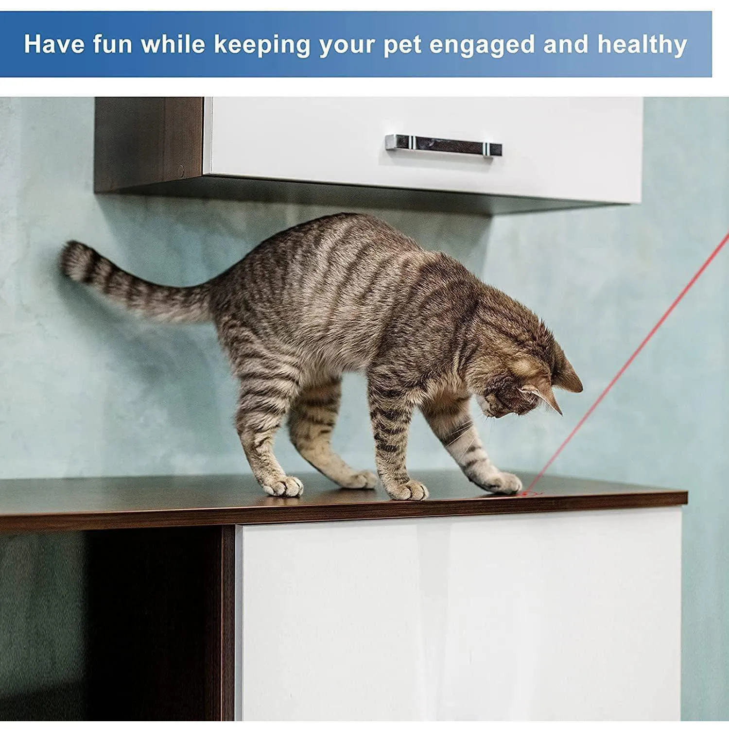 Puntero Láser Recargable para Gatos con Patrones Interactivos y Luz LED 4