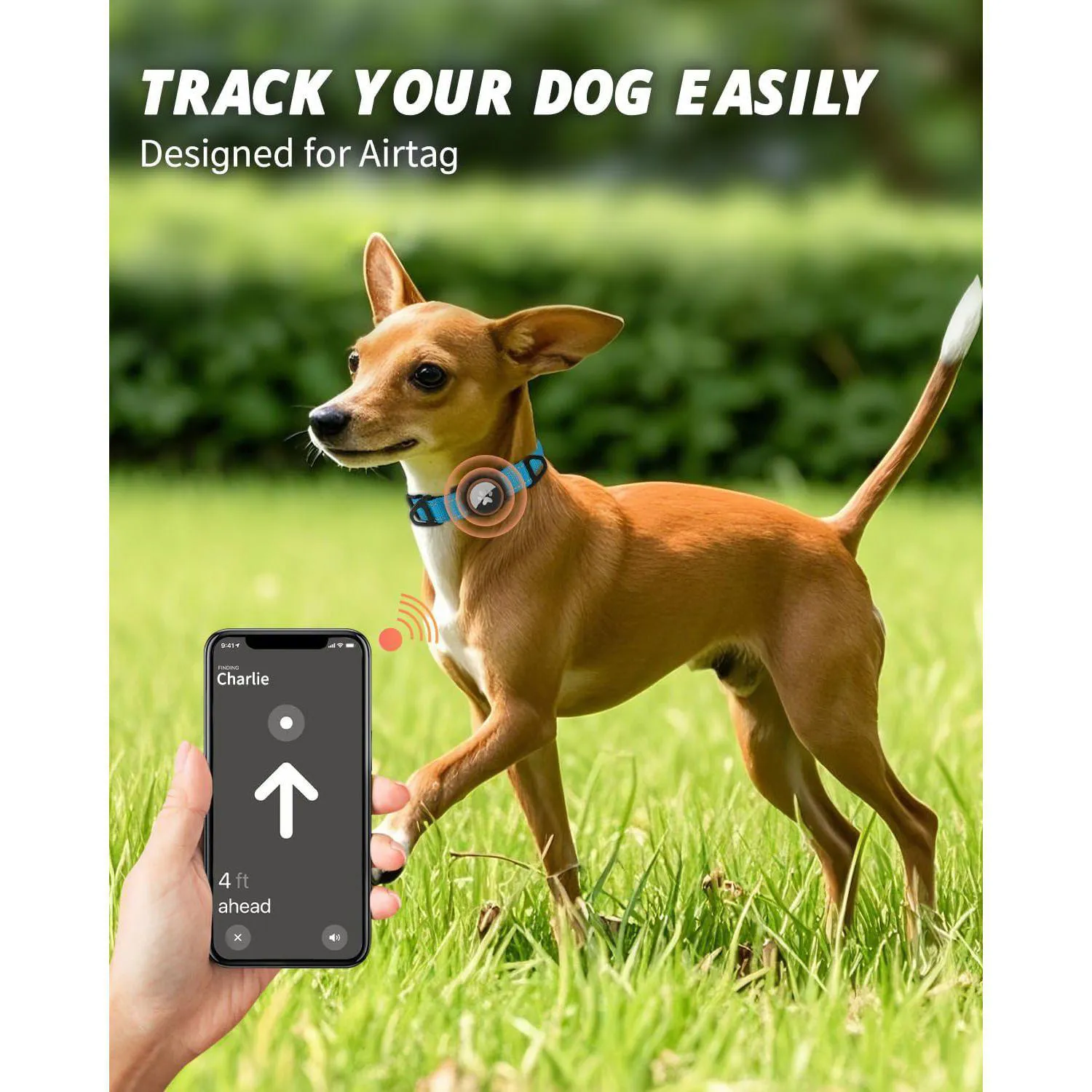 Collar Azul Cielo Para Perro Pequeño Reflectante Impermeable Con Soporte Para Apple Airtag Joytale