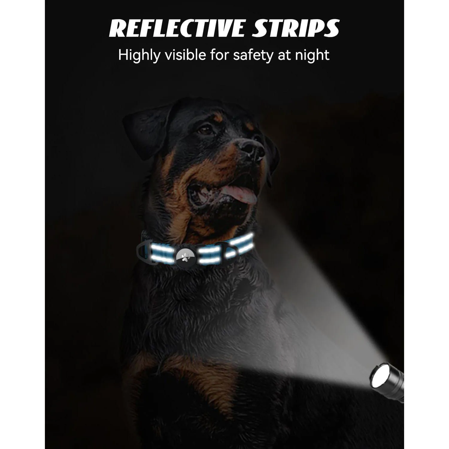 Collar Azul Cielo Para Perro Pequeño Reflectante Impermeable Con Soporte Para Apple Airtag Joytale 5