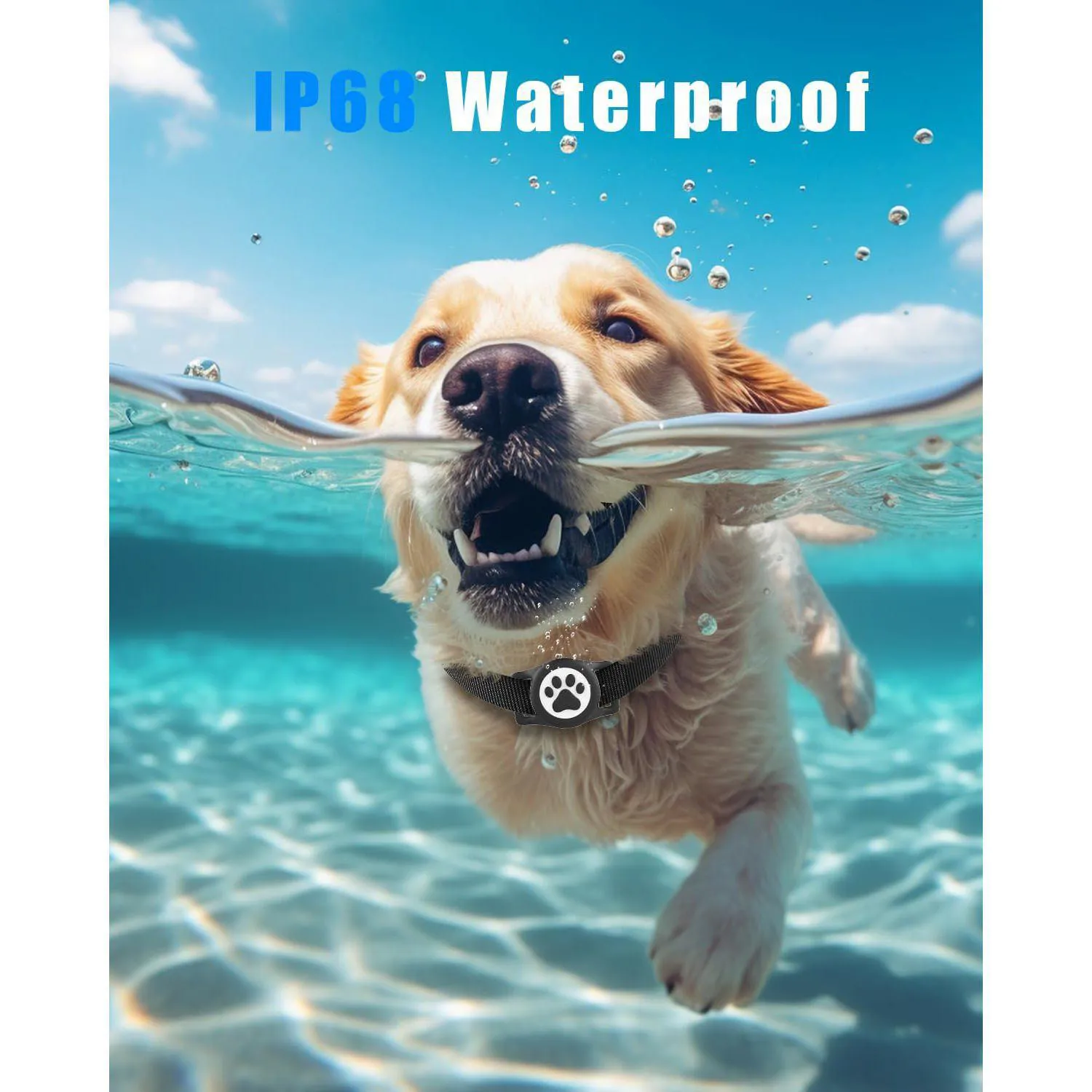 Soporte Para Airtag De Mascota En Silicona Negra Impermeable IP68 WhoseID