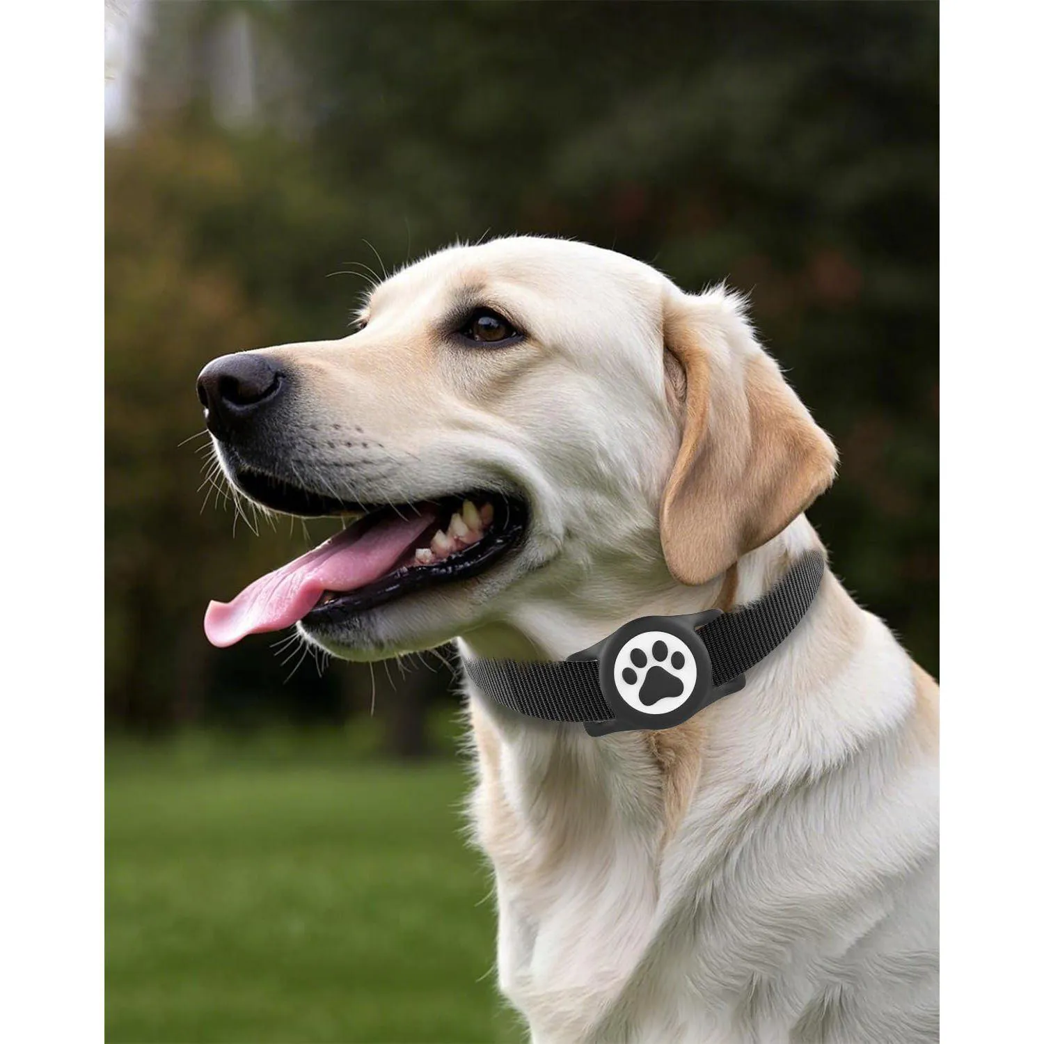 Soporte Para Airtag De Mascota En Silicona Negra Impermeable IP68 WhoseID 5