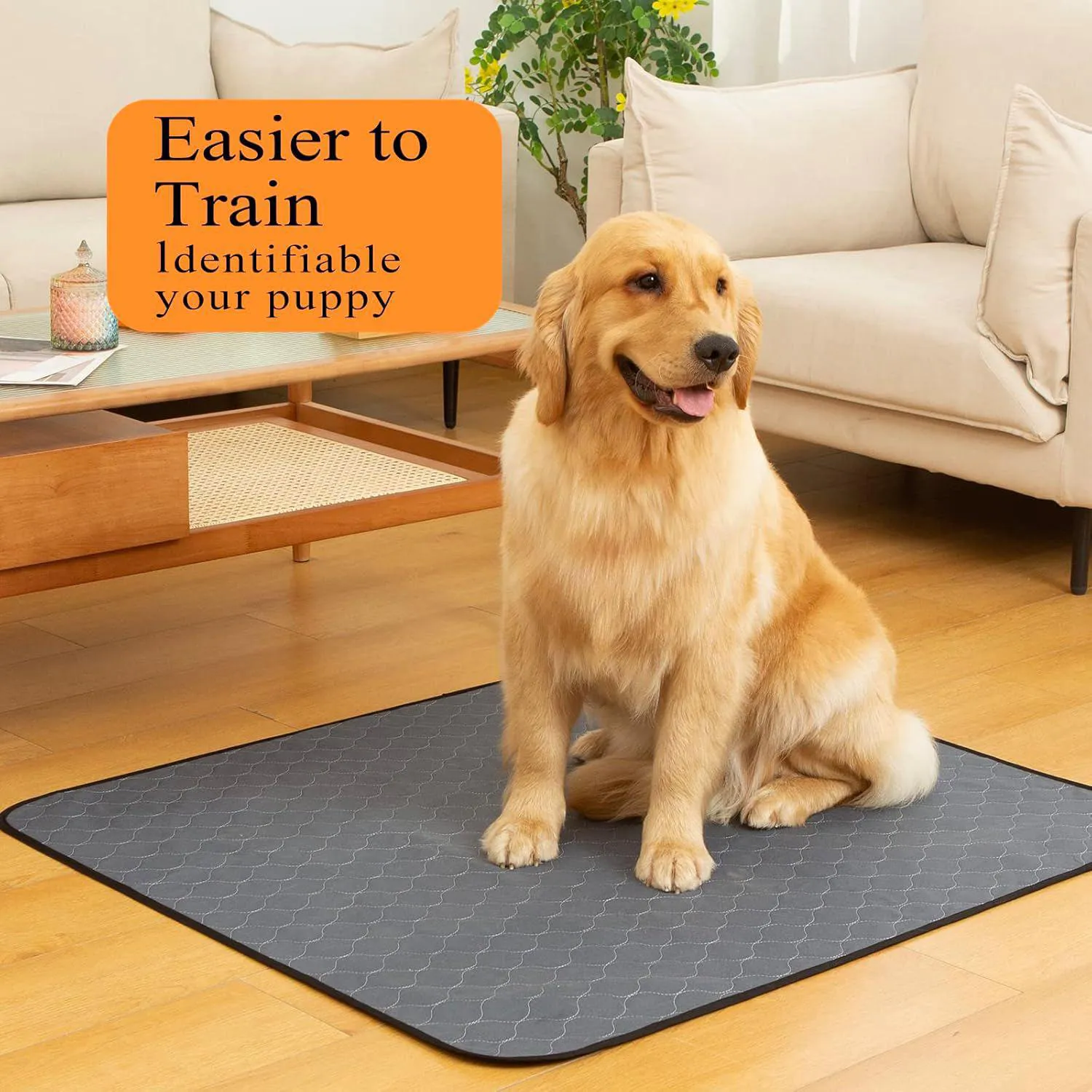Almohadillas Lavables Impermeables Para Entrenamiento De Perros Con Secado Rápido