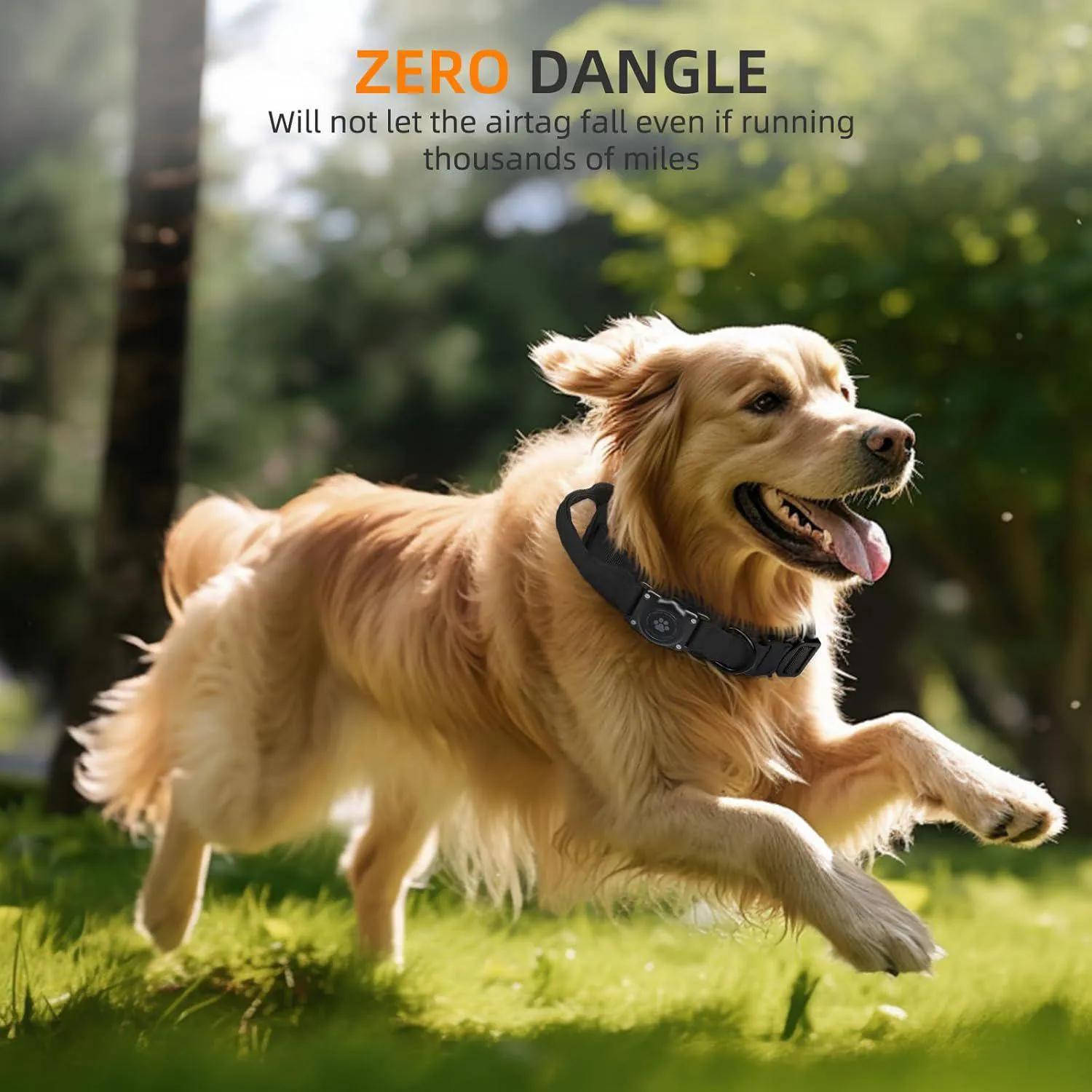 Collar Táctico Negro Para Perro Mediano Impermeable Con Soporte Para Apple Airtag Furrigo 4