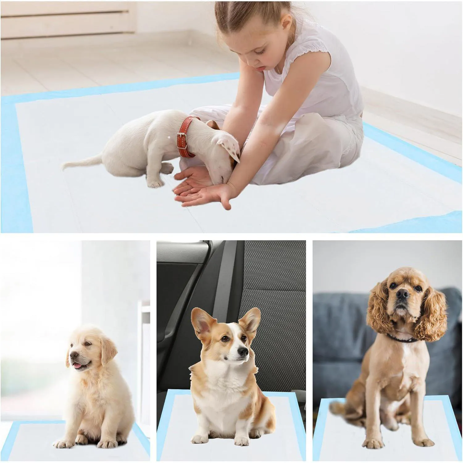 Almohadillas Desechables Super Absorbentes Para Entrenamiento De Mascotas A Prueba De Fugas 4