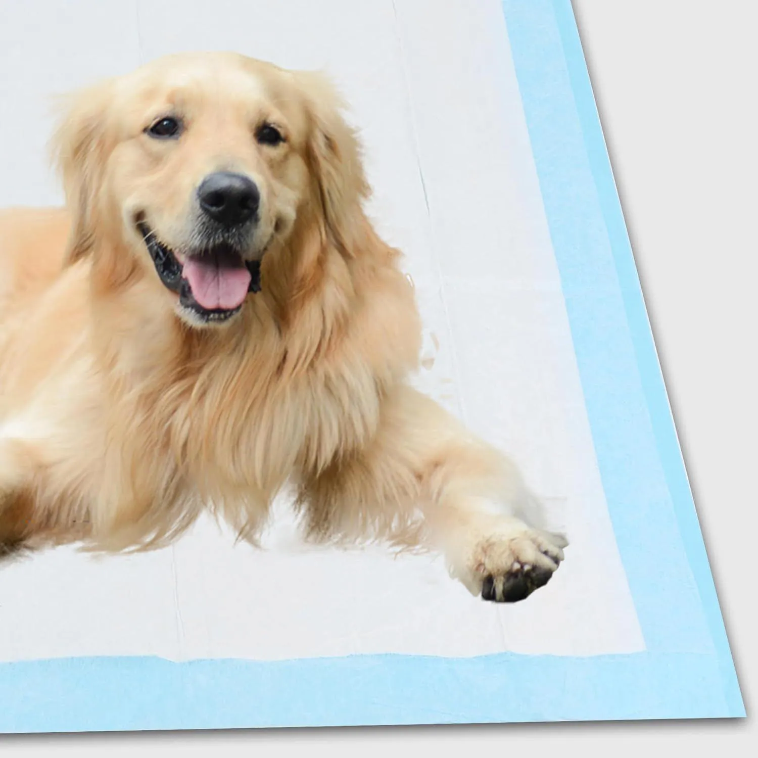Almohadillas Desechables Super Absorbentes Para Entrenamiento De Mascotas A Prueba De Fugas 5