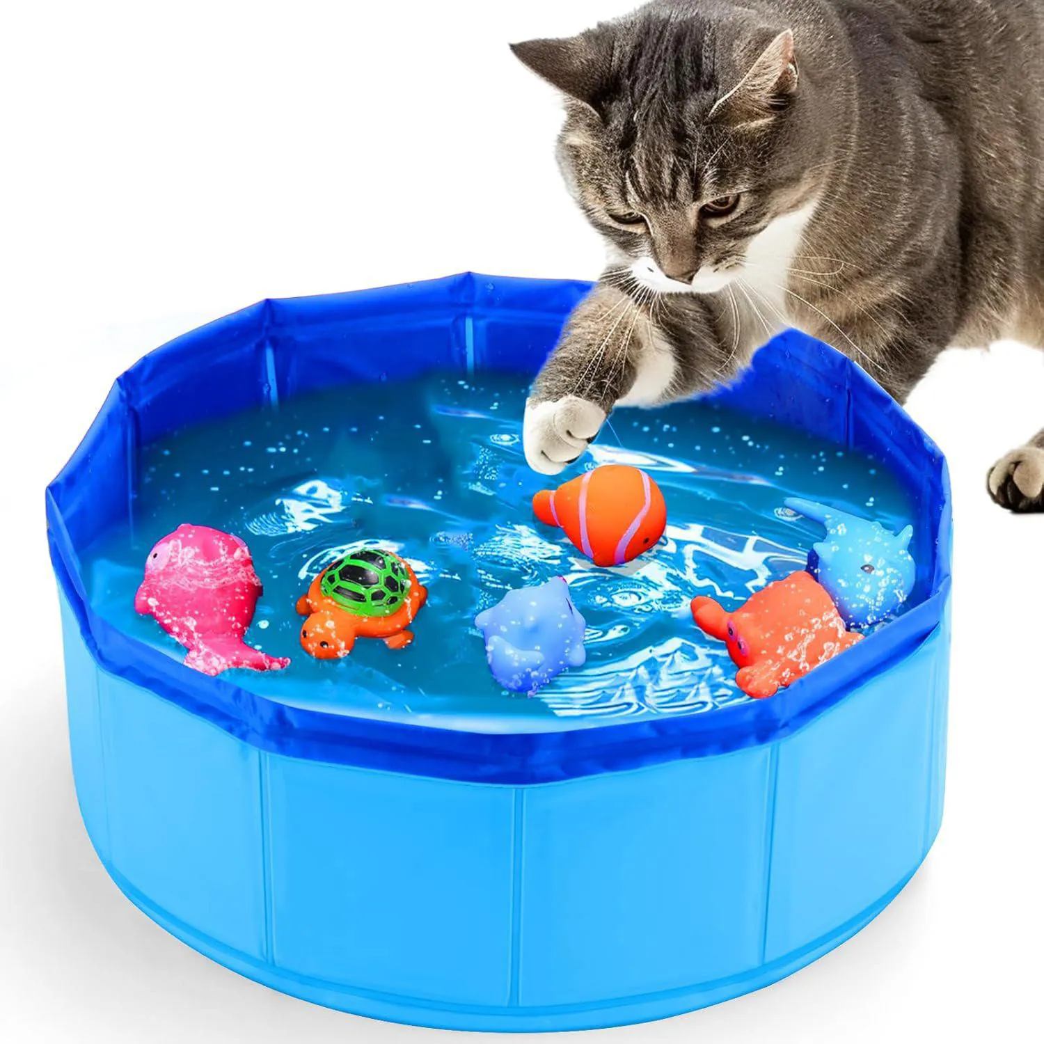 Piscina Interactiva Para Gato con Juguetes Flotantes y Estimulación Sensorial