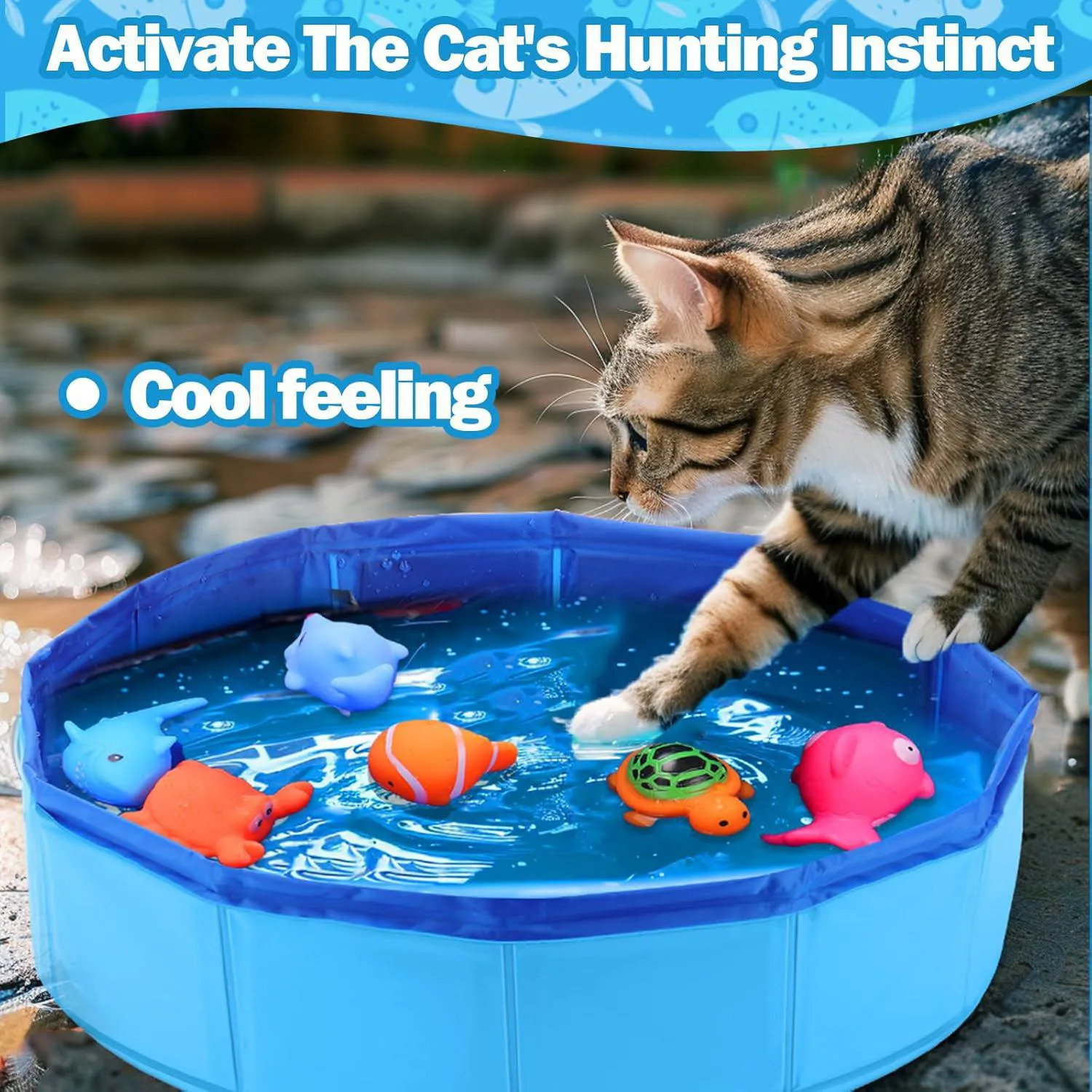 Piscina Interactiva Para Gato con Juguetes Flotantes y Estimulación Sensorial 4