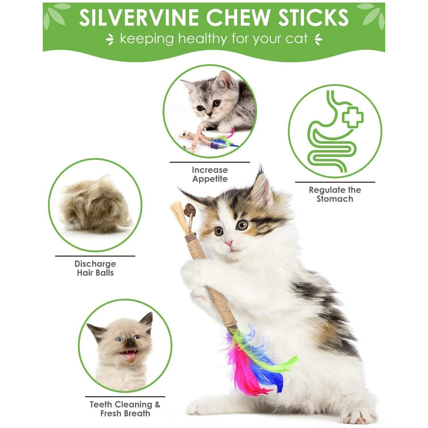 Juguete Dental Natural Para Gatos con Palitos de Silvervine y Catnip