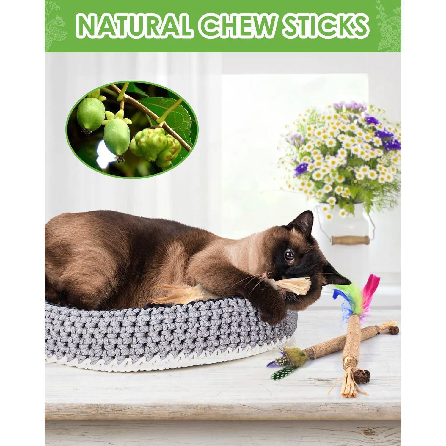 Juguete Dental Natural Para Gatos con Palitos de Silvervine y Catnip 5
