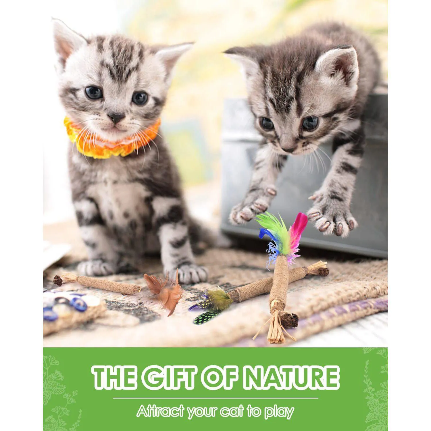 Juguete Dental Natural Para Gatos con Palitos de Silvervine y Catnip 6