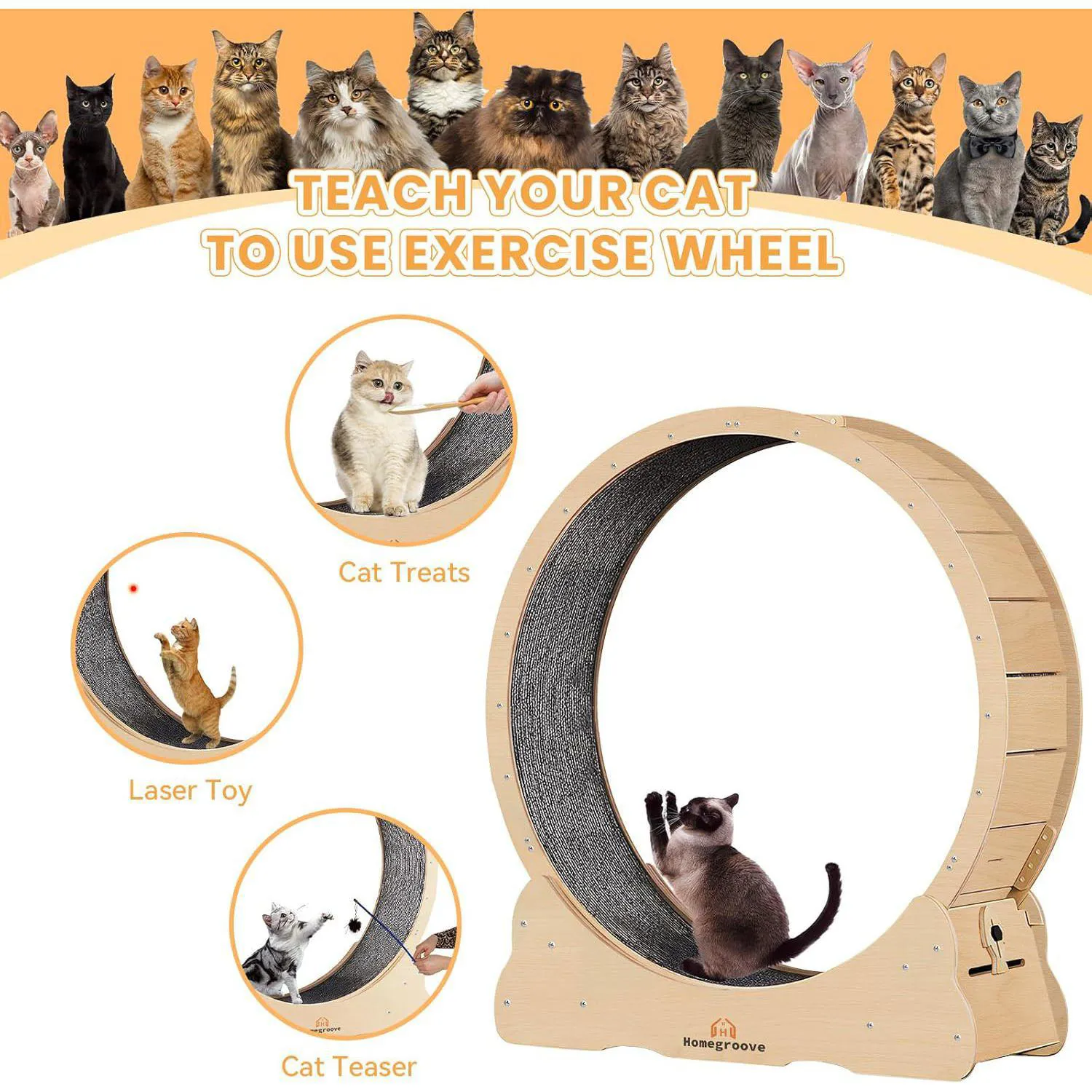 Rueda de Ejercicio XL Para Gatos con Base Segura y Superficie Acolchada 5