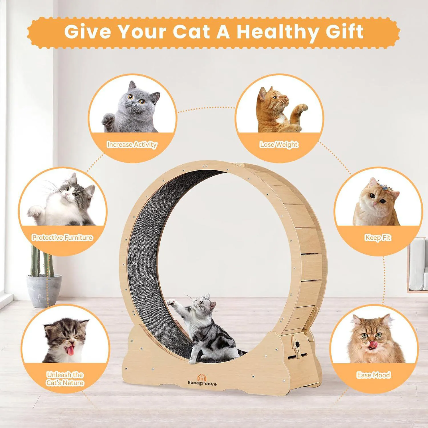 Rueda de Ejercicio XL Para Gatos con Base Segura y Superficie Acolchada 6