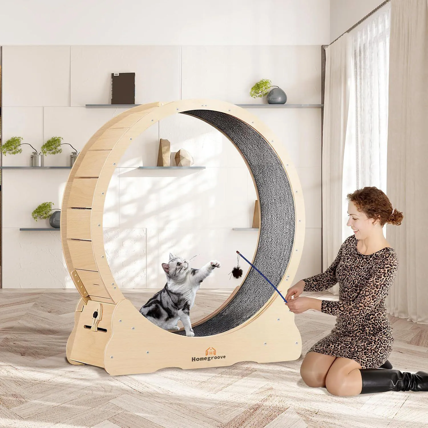 Rueda de Ejercicio XL Para Gatos con Base Segura y Superficie Acolchada 7