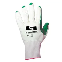 Guante Builder Látex Talla Xl Set X12