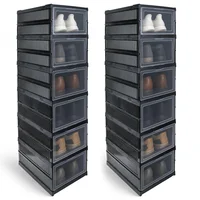 Set X2 Organizador Zapatos 6 Niveles Plegable Ventana Transp