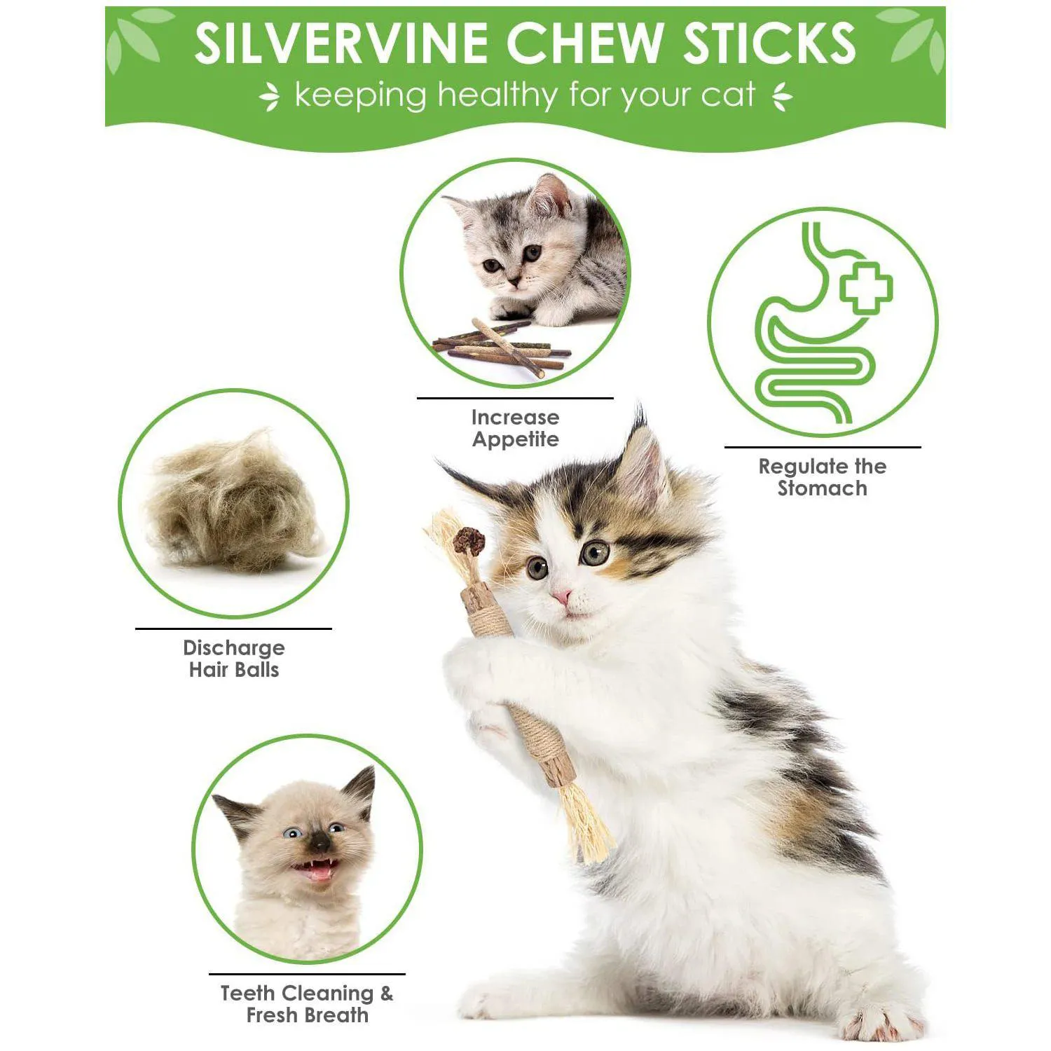 Palitos Masticables Para Gatos Tindtop Silvervine Con Hierba Gatera Natural
