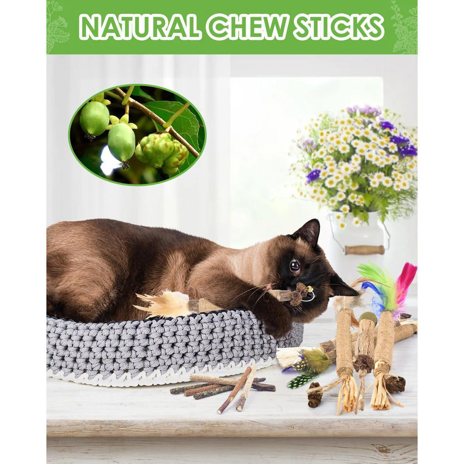 Palitos Masticables Para Gatos Tindtop Silvervine Con Hierba Gatera Natural 6