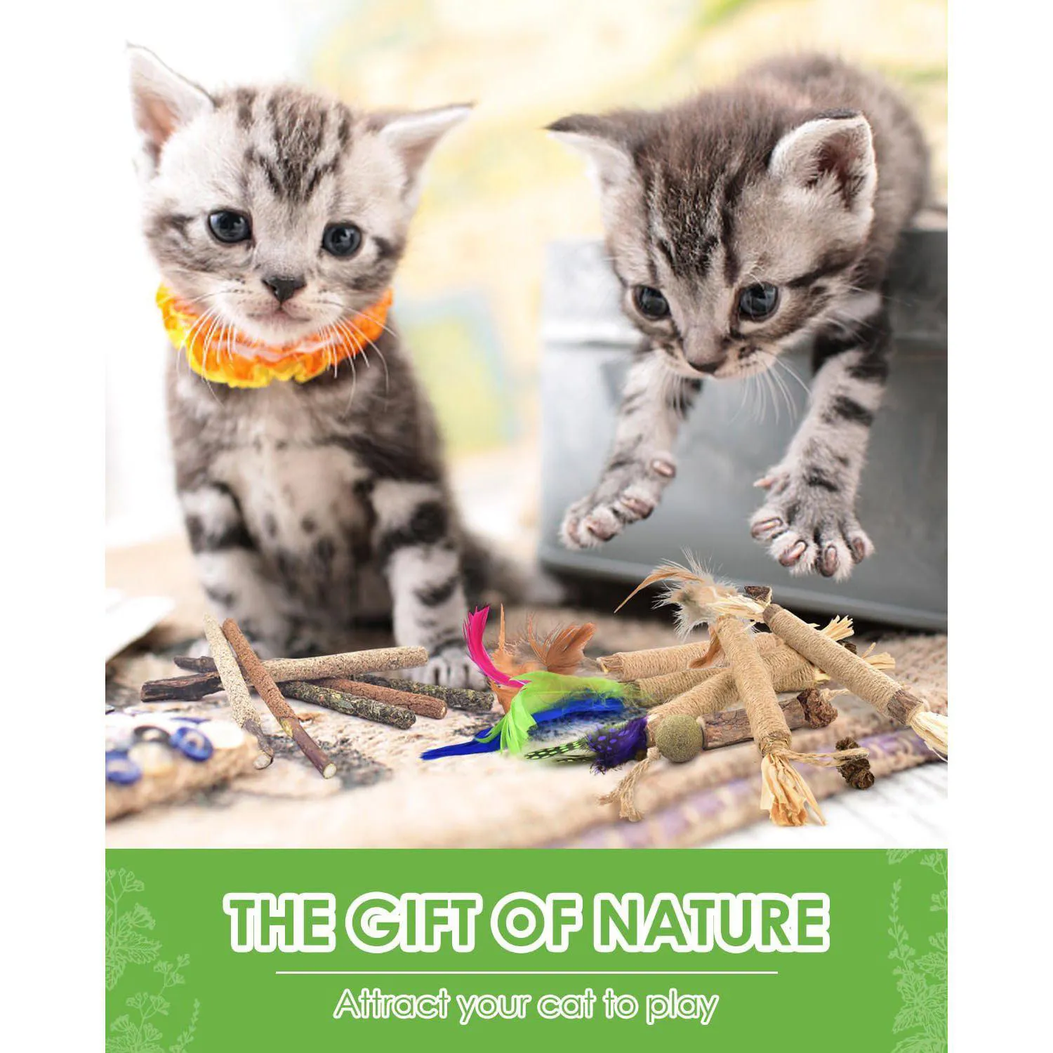 Palitos Masticables Para Gatos Tindtop Silvervine Con Hierba Gatera Natural 7
