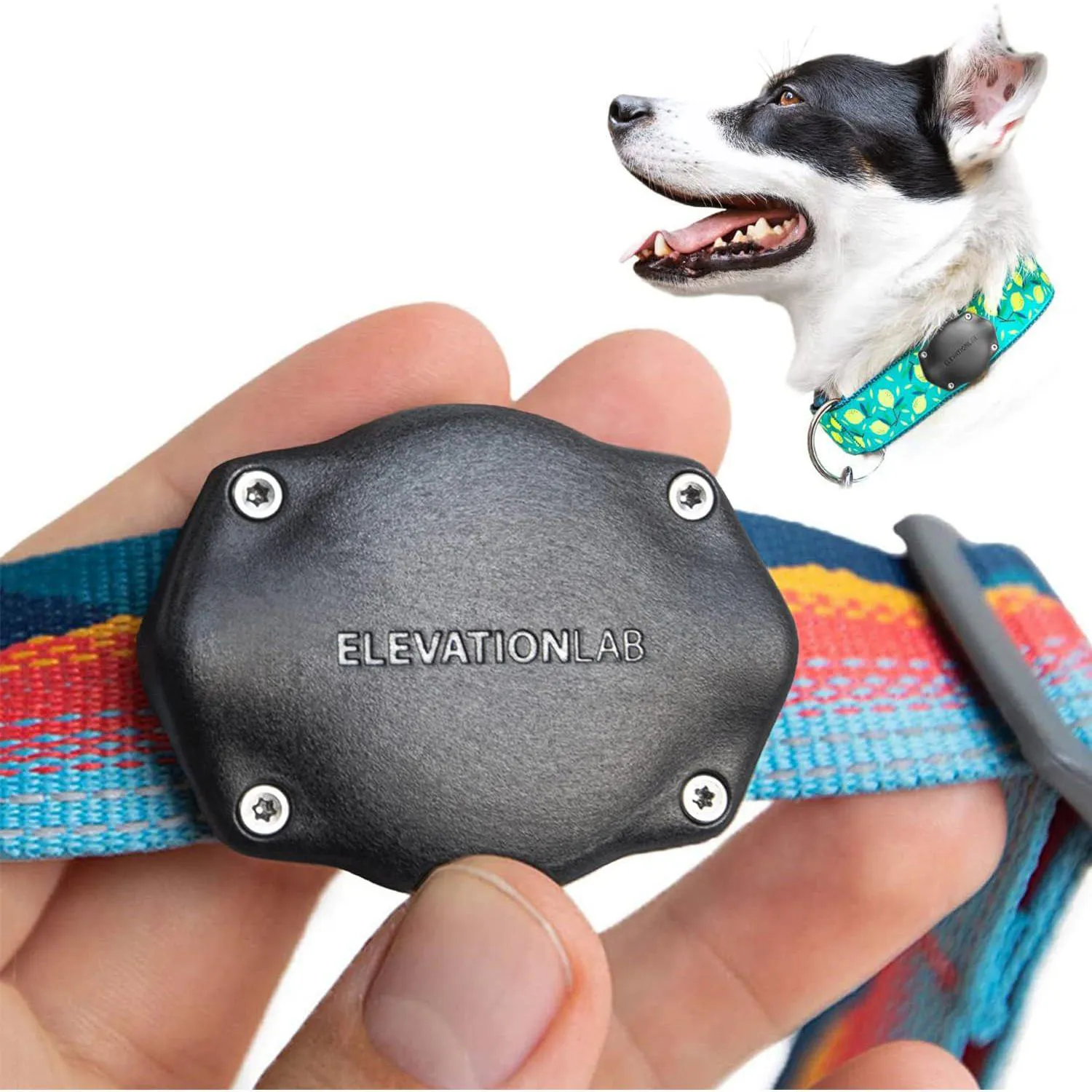 Soporte Airtag Para Collar De Perro Impermeable Ajustable Y Resistente