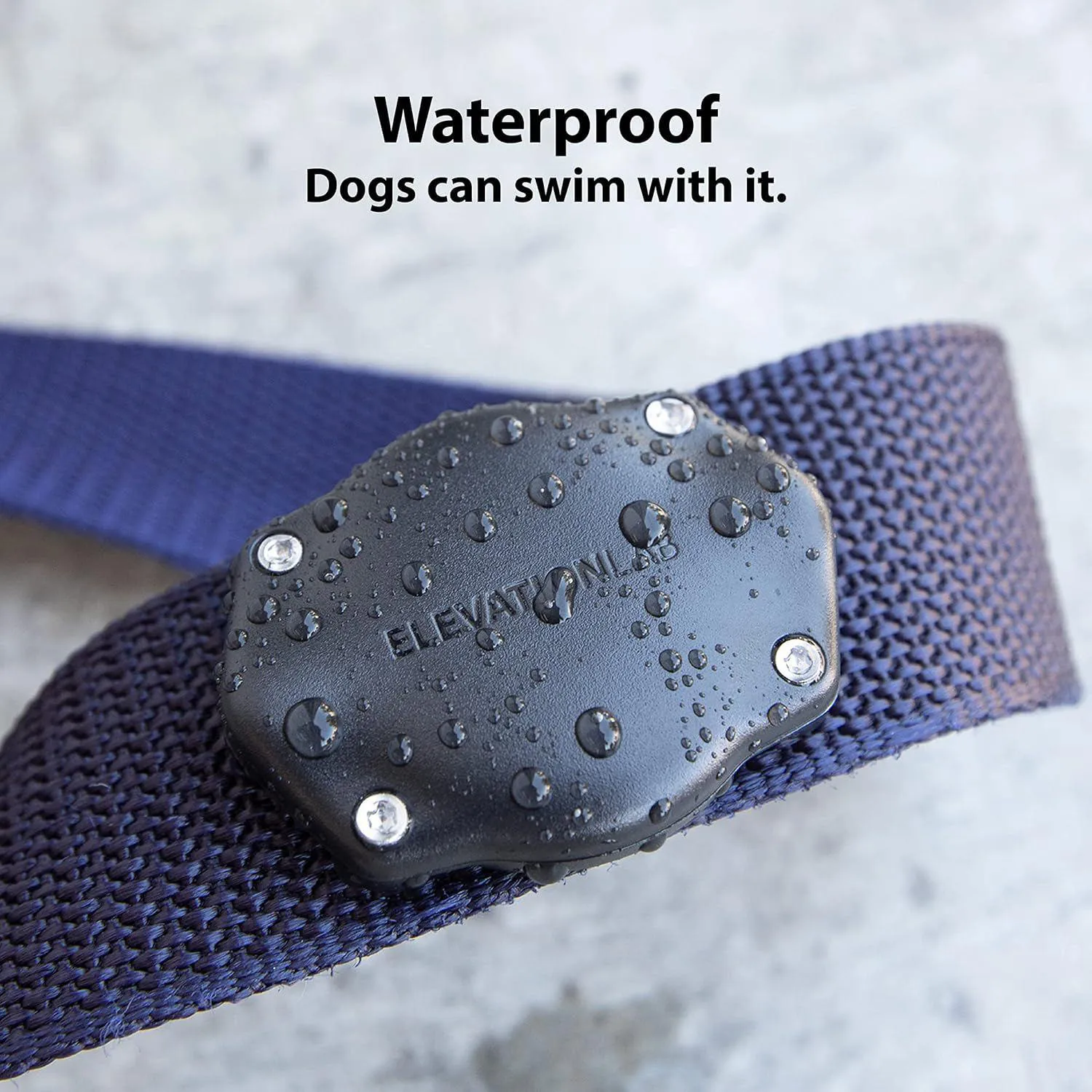 Soporte Airtag Para Collar De Perro Impermeable Ajustable Y Resistente 4