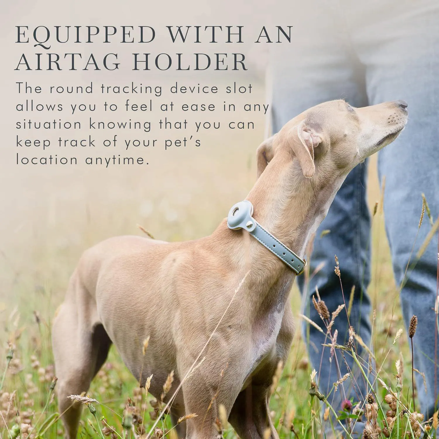 Collar Ajustable Para Perro De Cuero Vegano Con Soporte Airtag Elegante Y Resistente