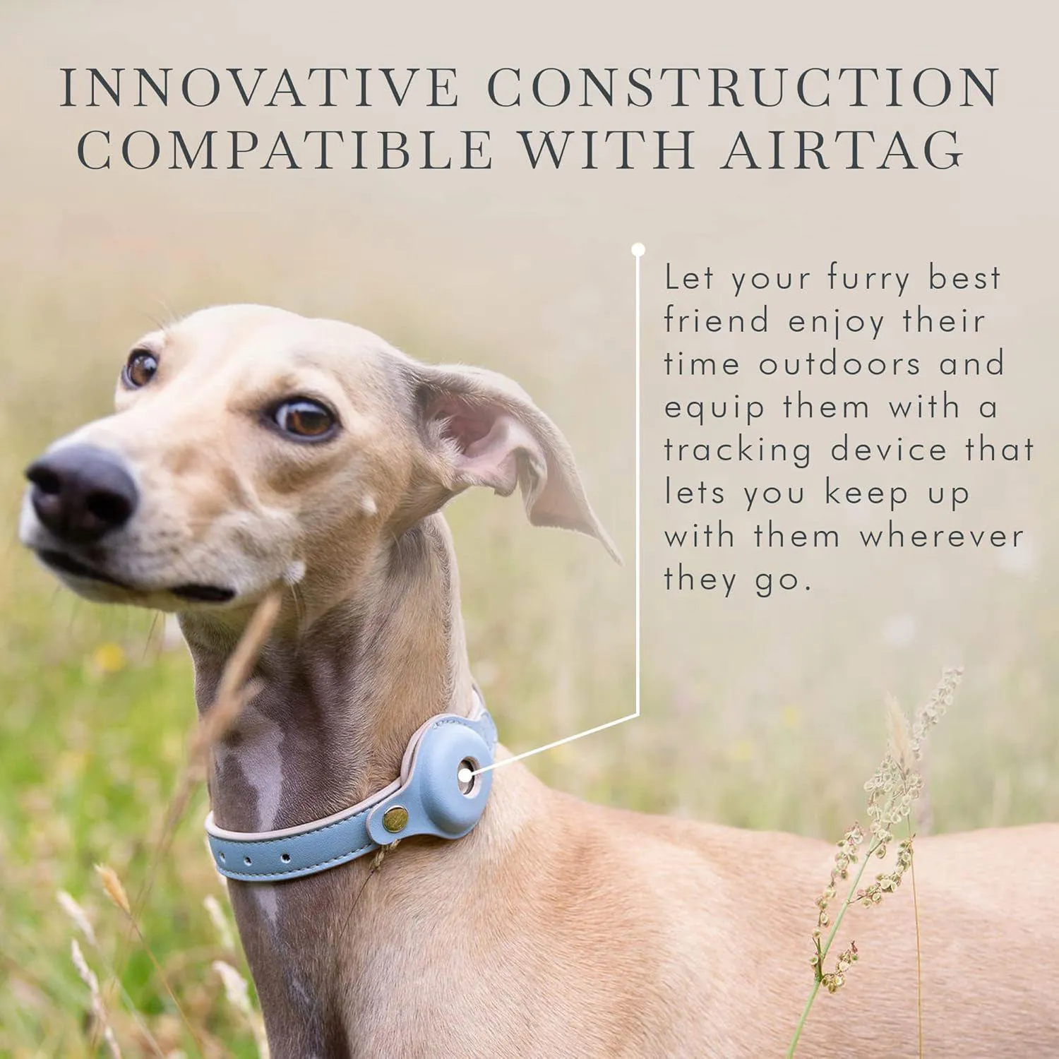 Collar Ajustable Para Perro De Cuero Vegano Con Soporte Airtag Elegante Y Resistente 4