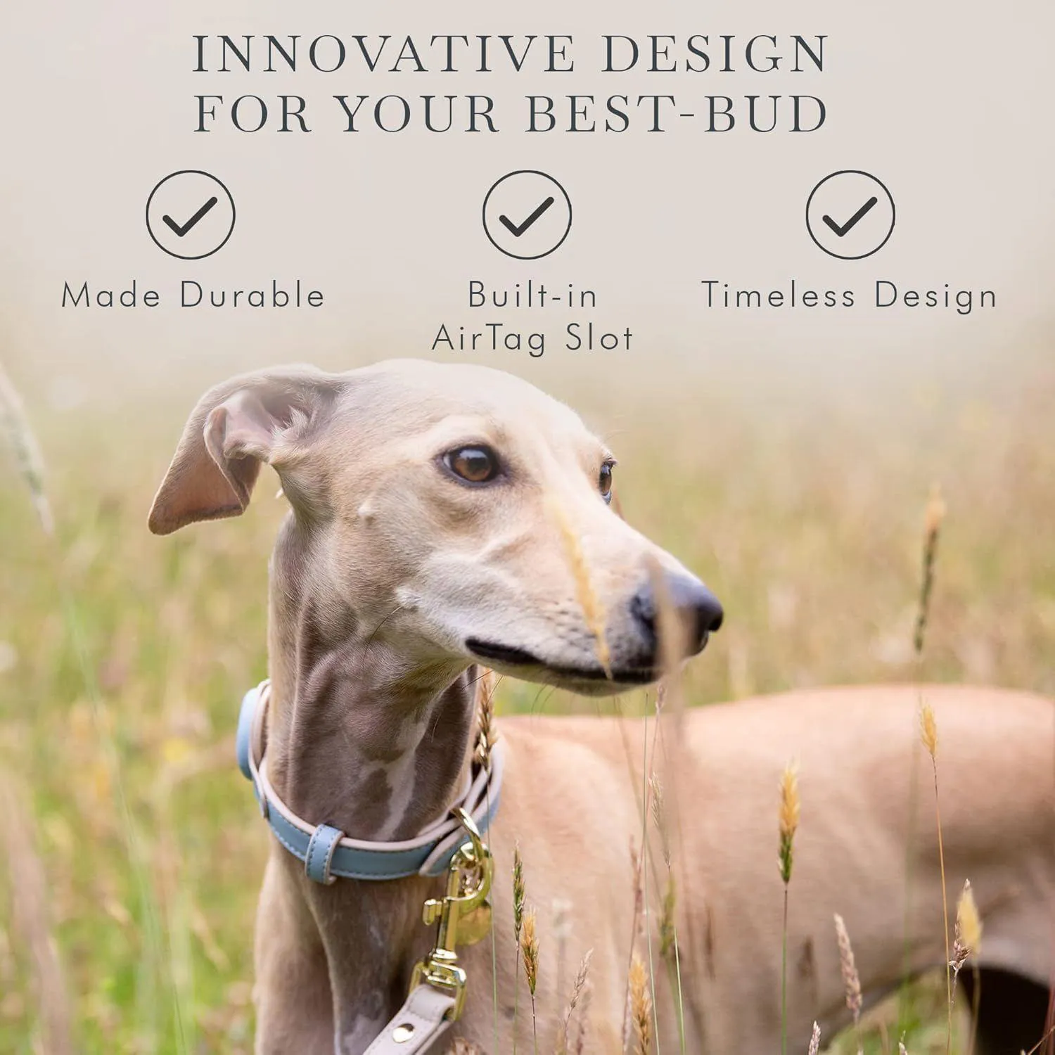 Collar Ajustable Para Perro De Cuero Vegano Con Soporte Airtag Elegante Y Resistente 7