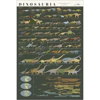 Póster Educativo Pop Chart Evolución De Dinosaurios