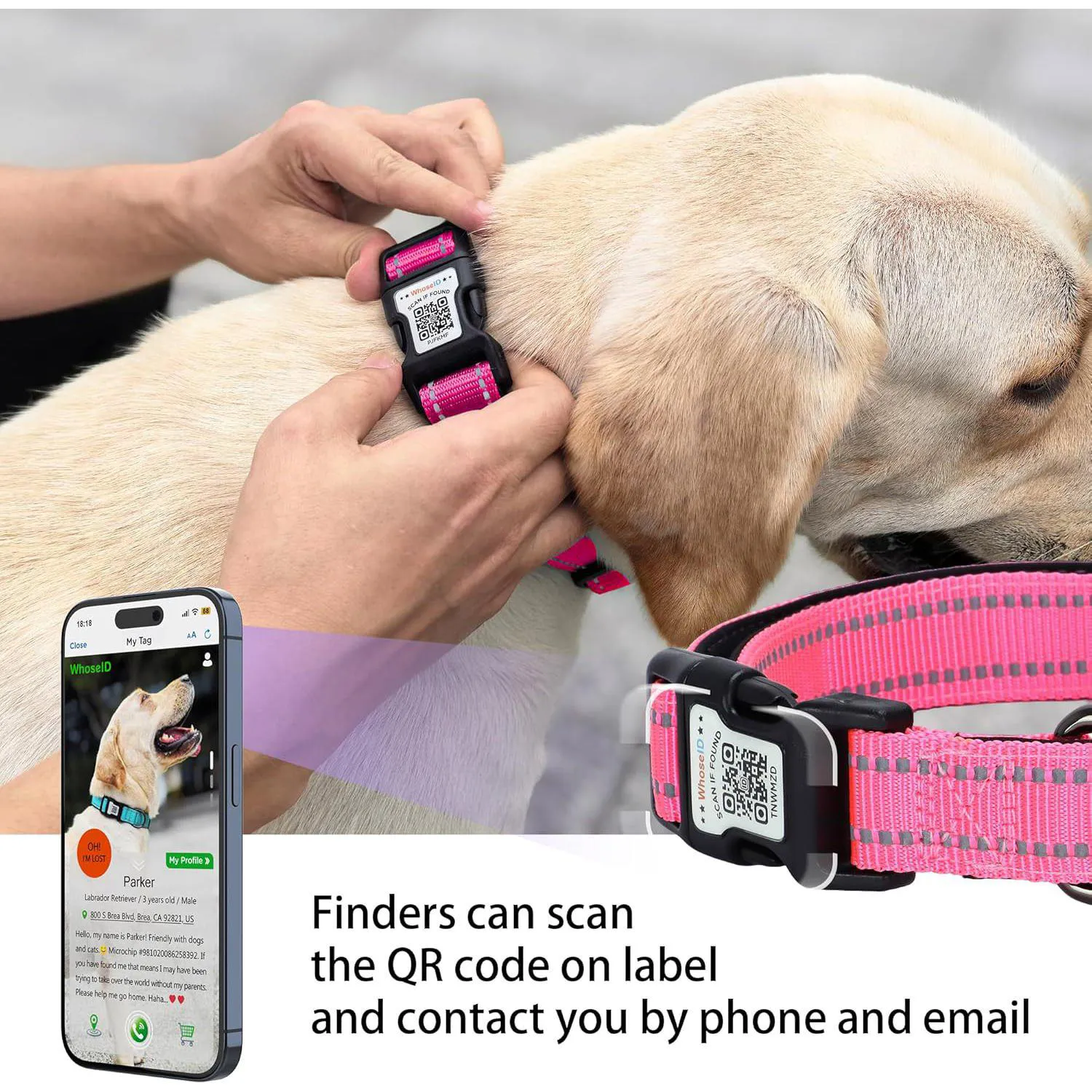 Collar Para Perro Con Soporte Airtag Y Código QR Reflectante Ajustable