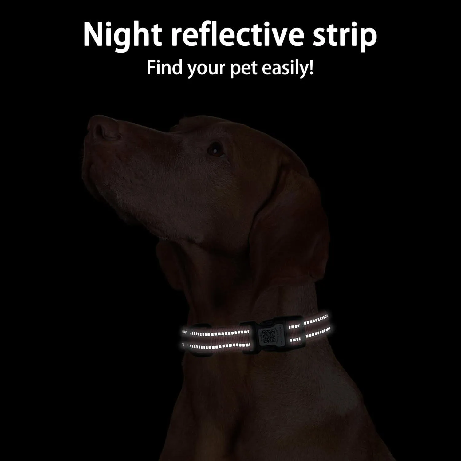 Collar Para Perro Con Soporte Airtag Y Código QR Reflectante Ajustable 4