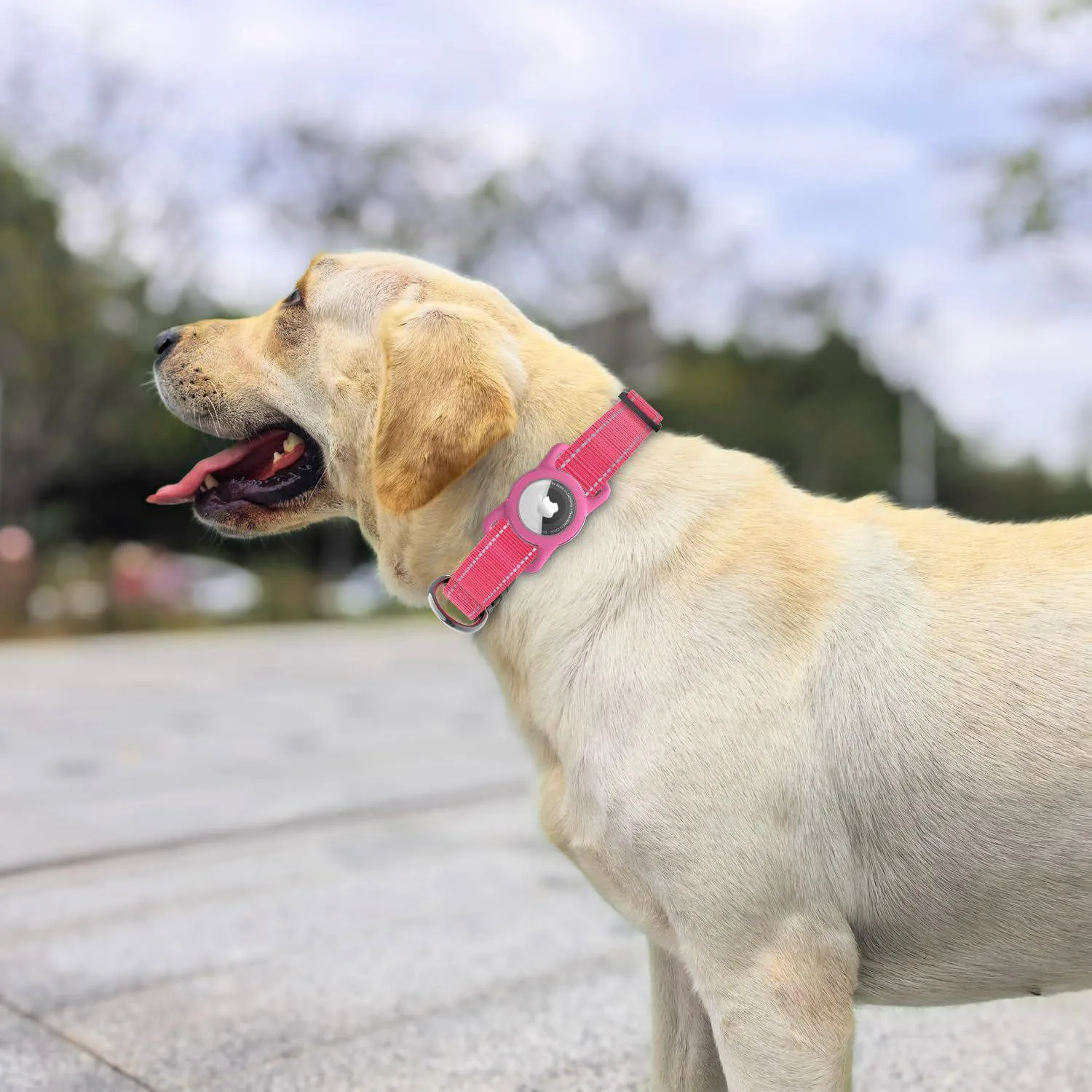Collar Para Perro Con Soporte Airtag Y Código QR Reflectante Ajustable 6