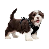 Arnés Ajustable Para Perro Con Soporte AirTag Reflectante Color Negro