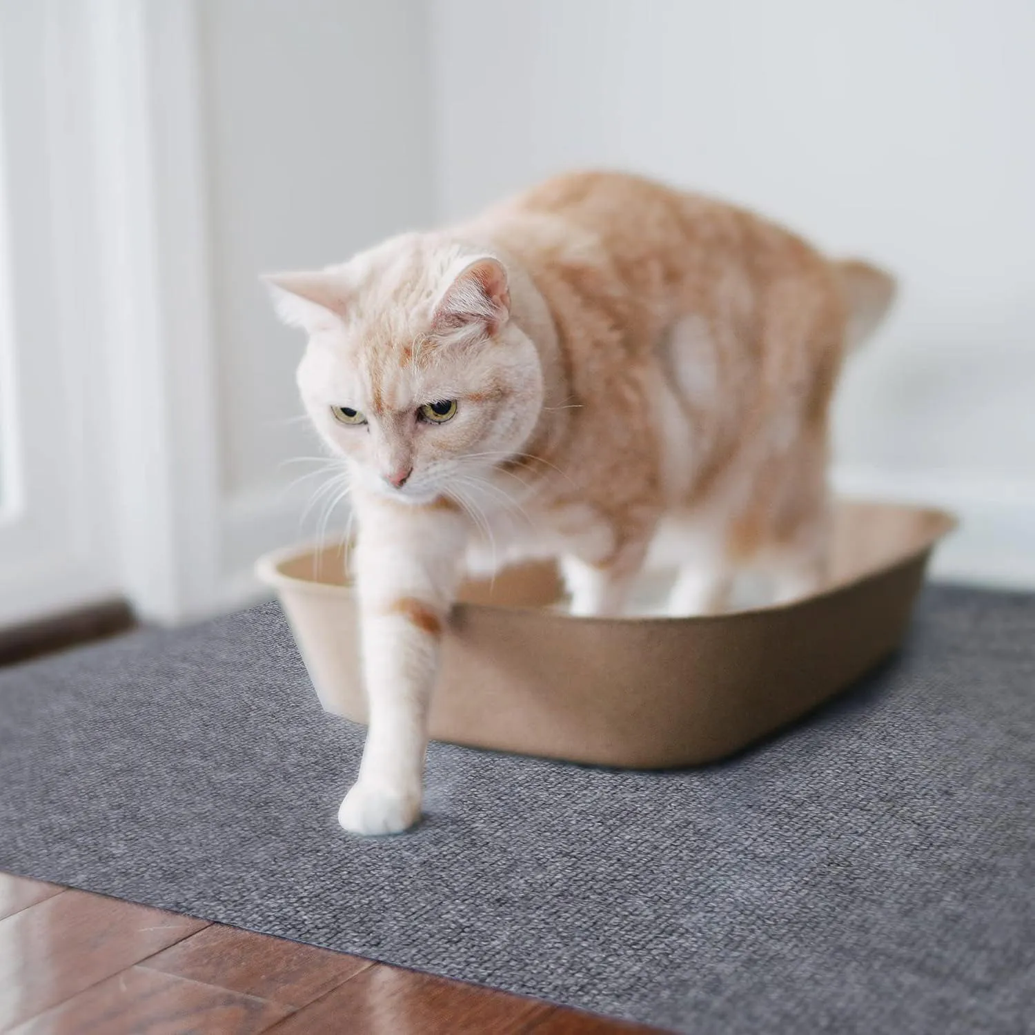 Tapete De Arena Para Gatos Lavable Impermeable Y Antideslizante Americat 3