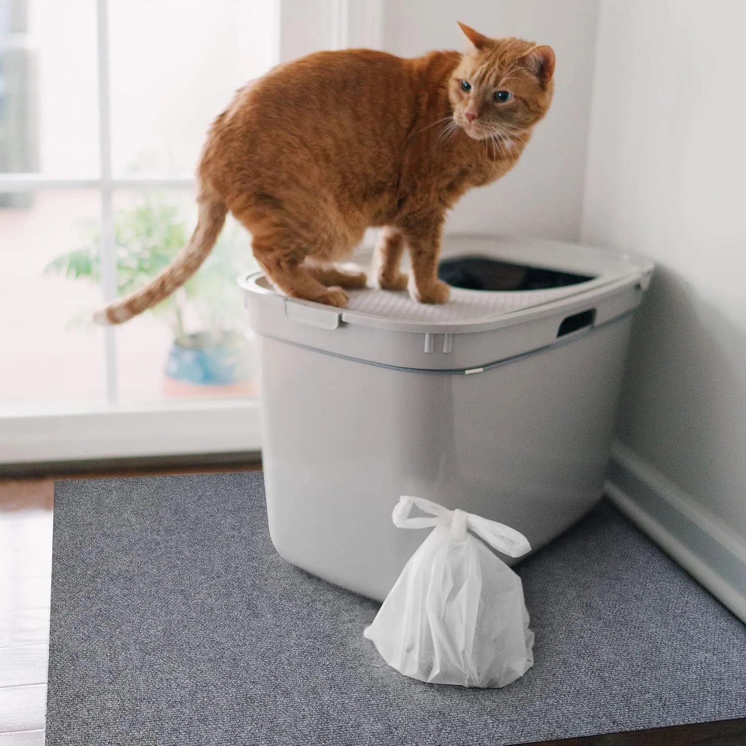 Tapete De Arena Para Gatos Lavable Impermeable Y Antideslizante Americat 5