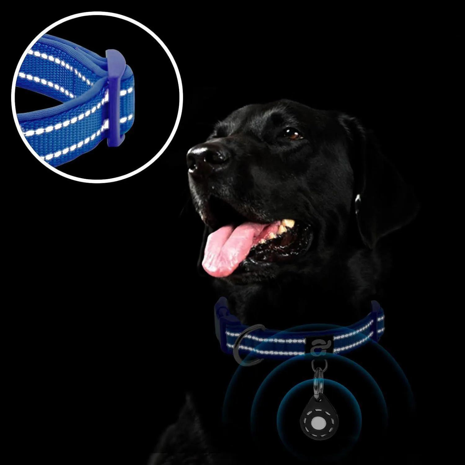 Collar Ajustable Para Perro Con Soporte Airtag Reflectante Y Acolchado Cómodo 5