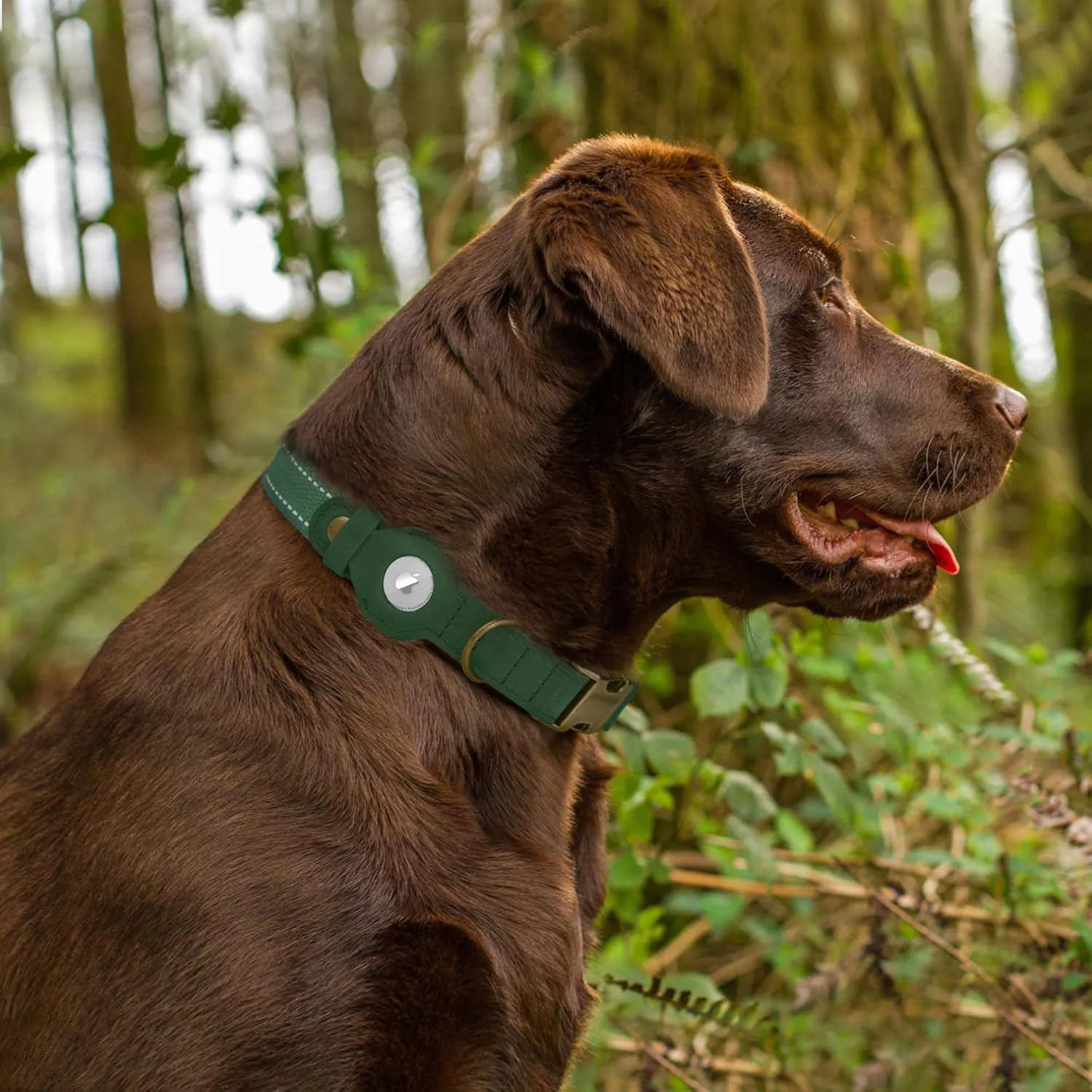 Collar De Cuero Reflectante Para Perro Con Soporte AirTag Ajustable Y Hebilla Metálica 8