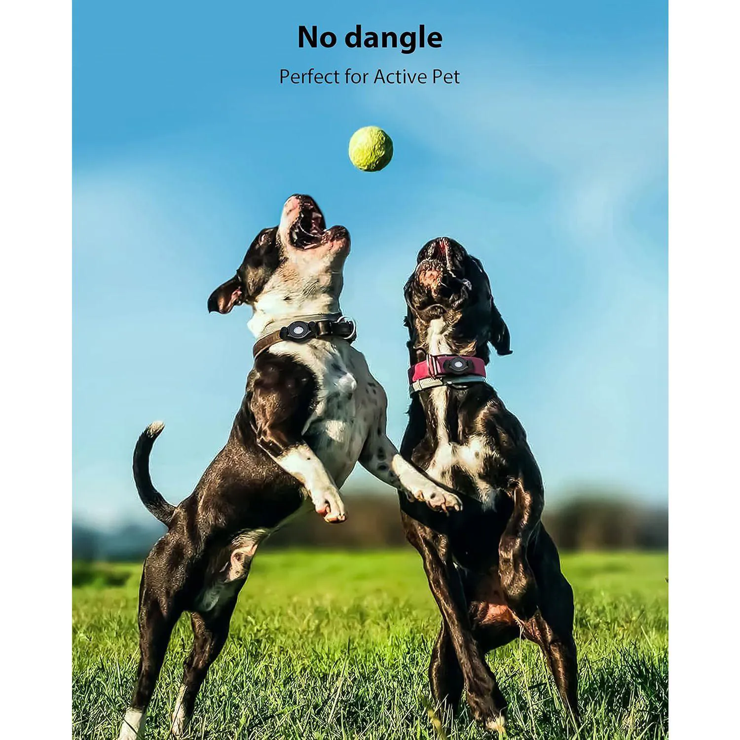 Soporte Para Airtag Para Collar De Perro Ajustable Con Fijación Segura 6