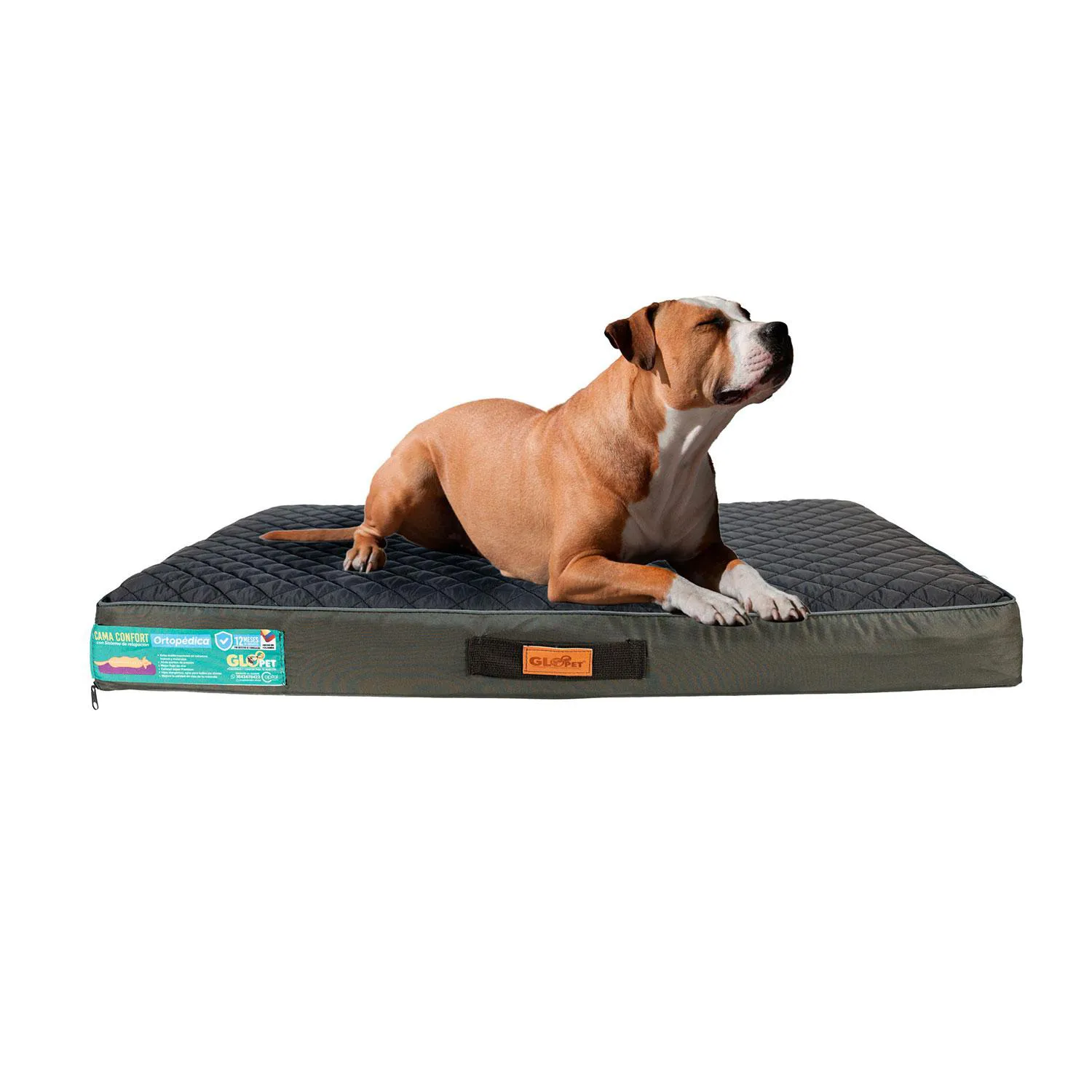 Cama Gloopet Confort Ortopédica Talla Xl Negro 3