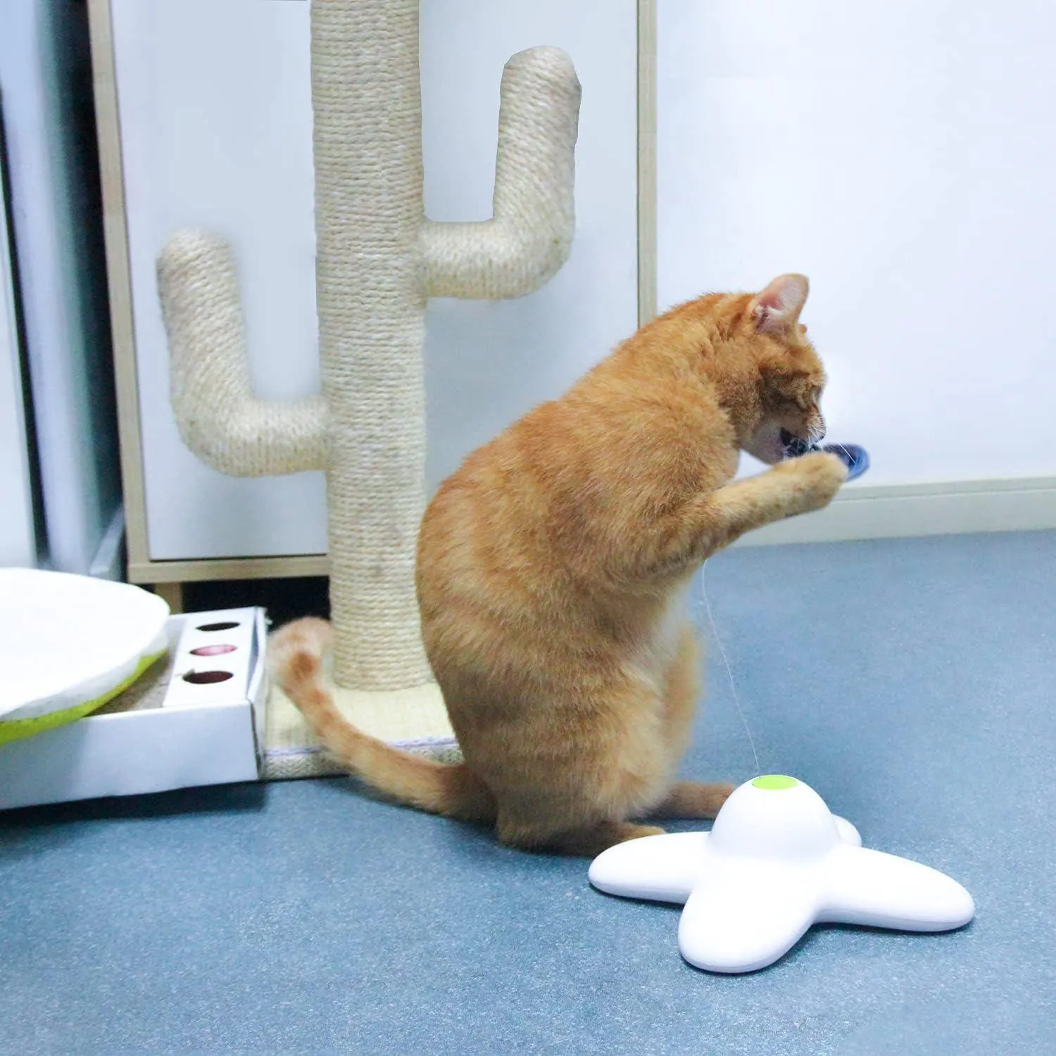 Repuesto De Mariposas Para Juguete Interactivo De Gatos Paquete De Seis Piezas 6