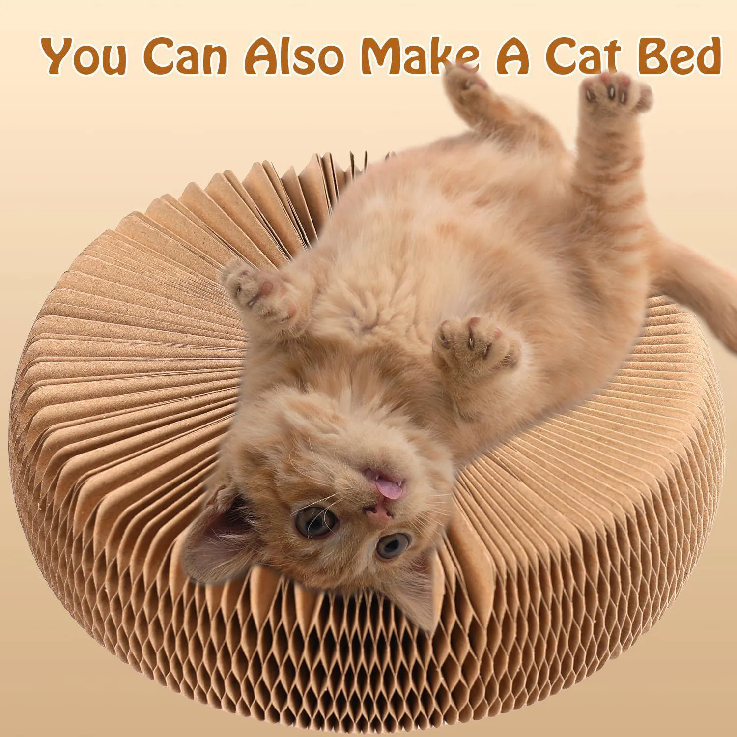 Juguete De Pelota De Pista Para Gatos Dosanlues Con Diseño De Doble Capa 5