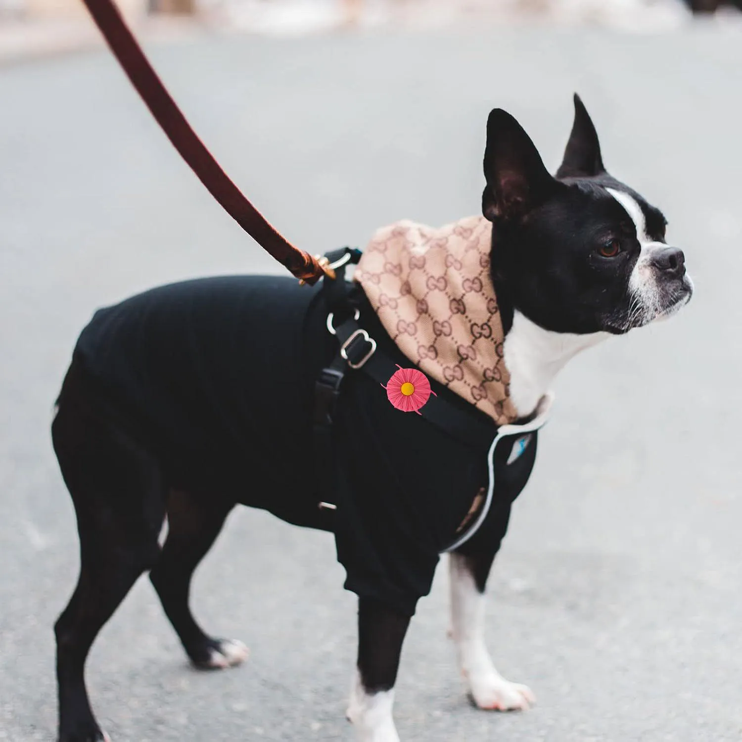 Funda De Silicona Para Airtag Con Diseño Girasol Compatible Con Collar De Mascota 5