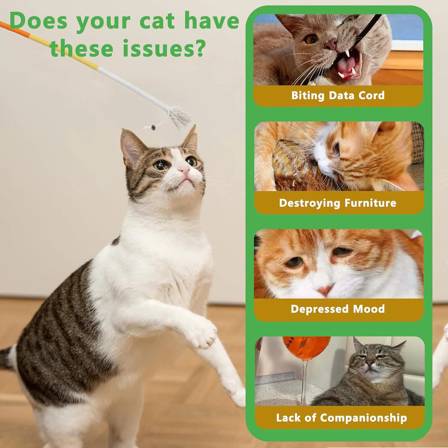 Juguete De Cuerda Maiiu Para Gatos Con Limpieza Dental Y Material Seguro 5
