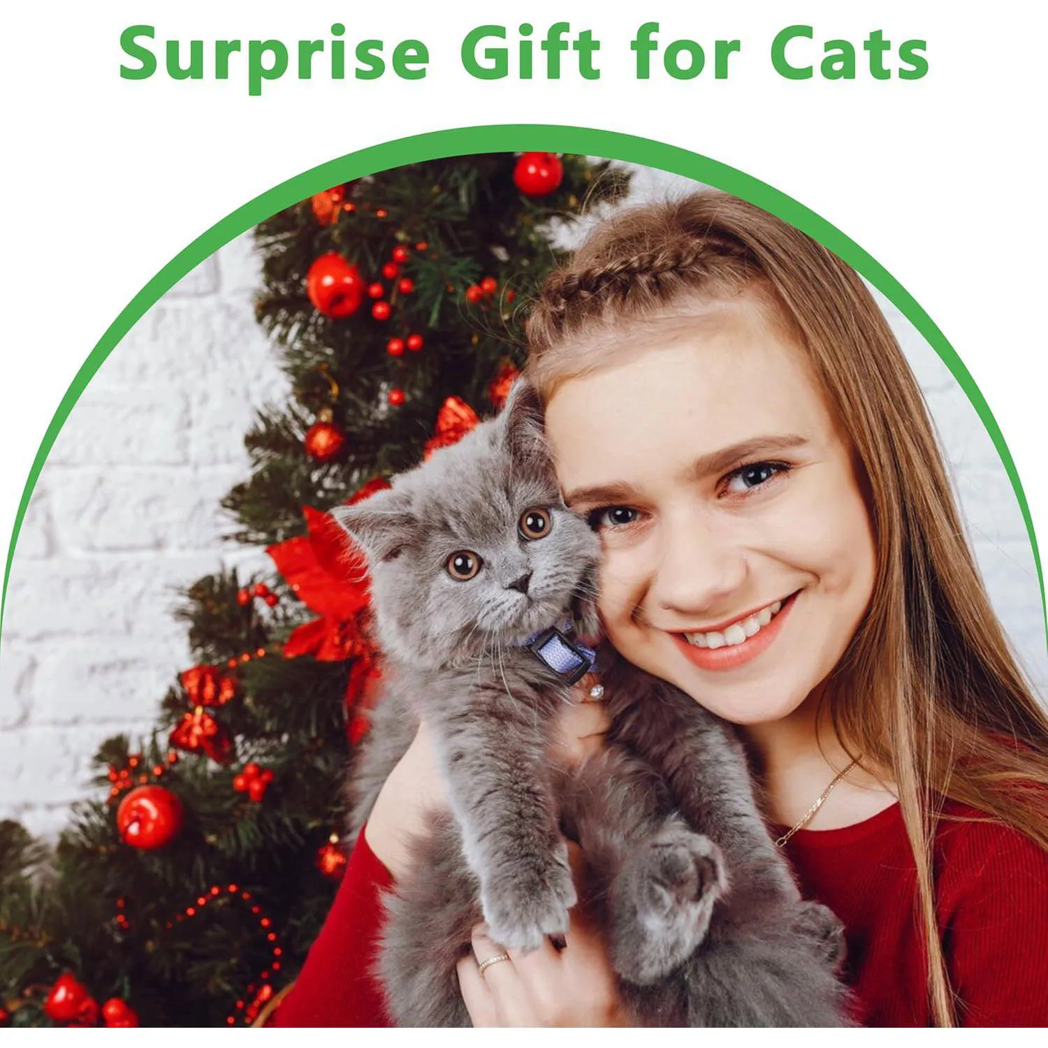 Juguete De Cuerda Maiiu Para Gatos Con Limpieza Dental Y Material Seguro 7