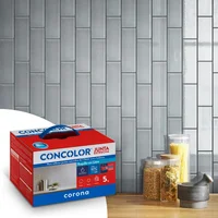 Boquilla Concolor Junta Estrecha Gris Cemento 2kg