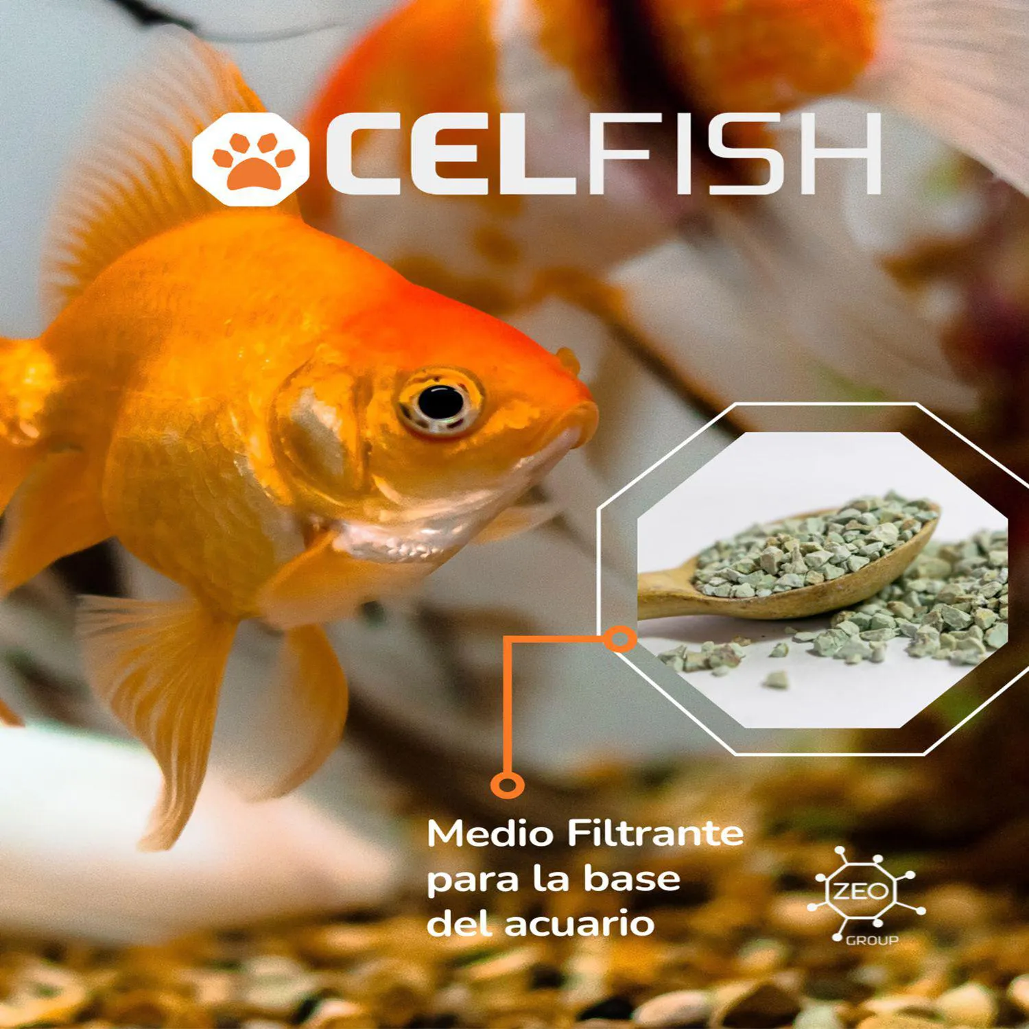Celfish Base Medio De Filtración Para La Base De Acuarios 3