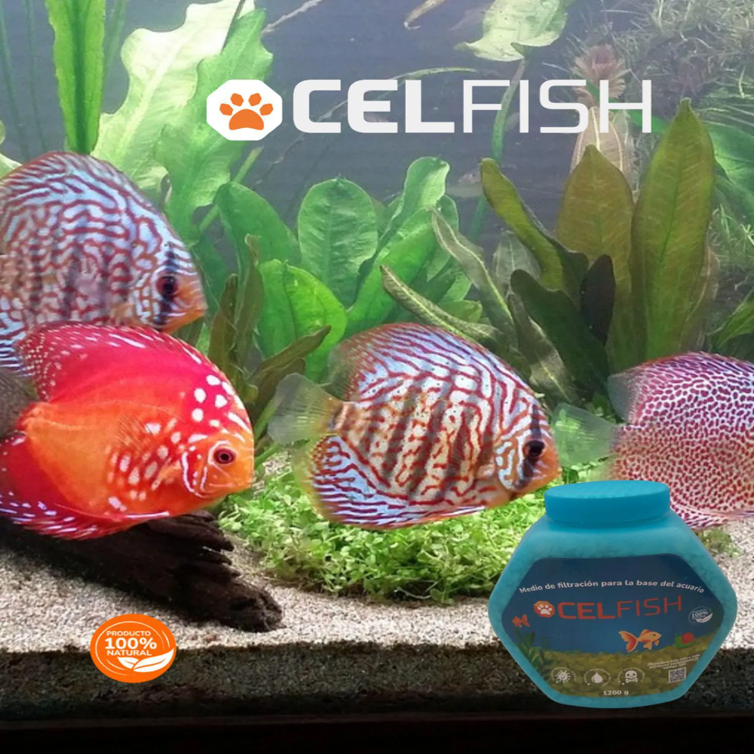 Celfish Base Medio De Filtración Para La Base De Acuarios 5