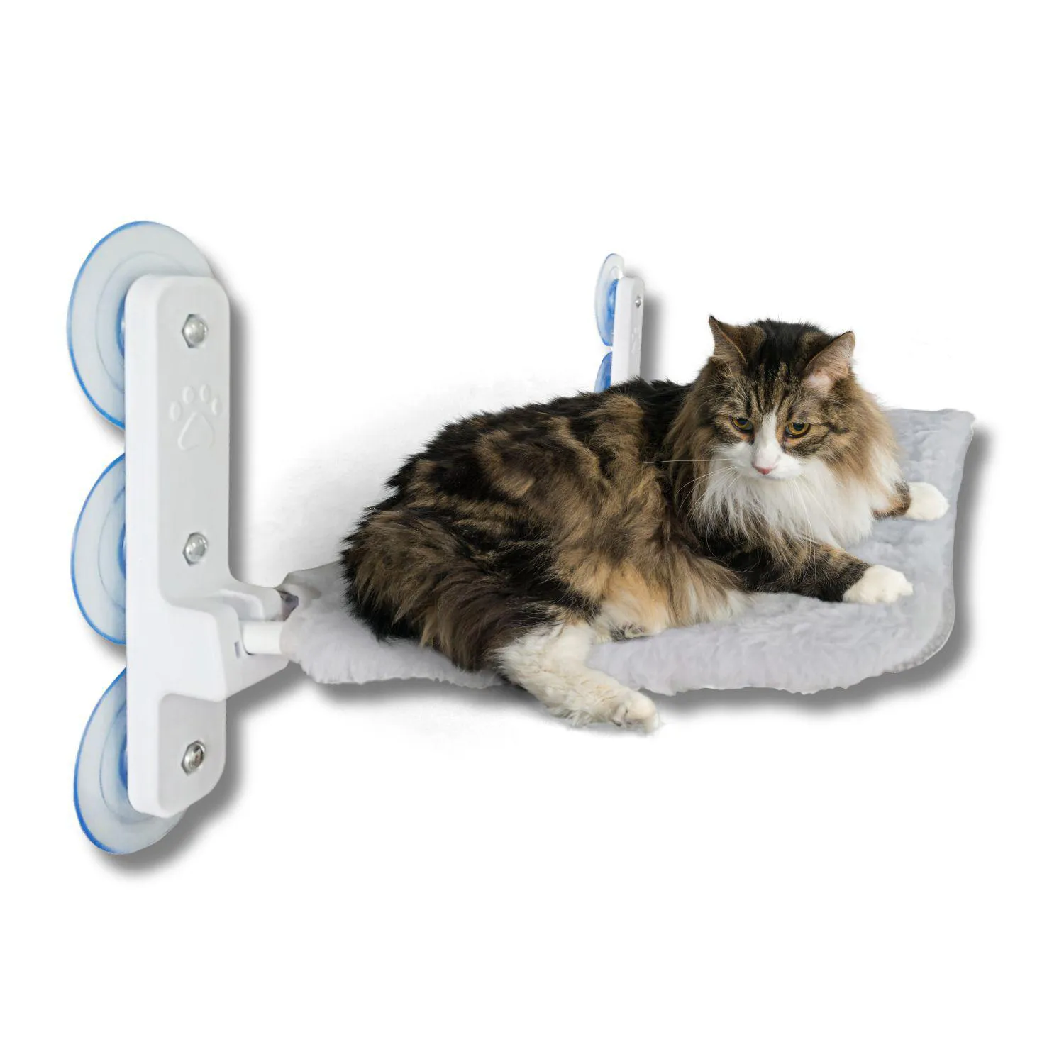 Cama hamaca flotante gato ventana percha plegable mascotas 5
