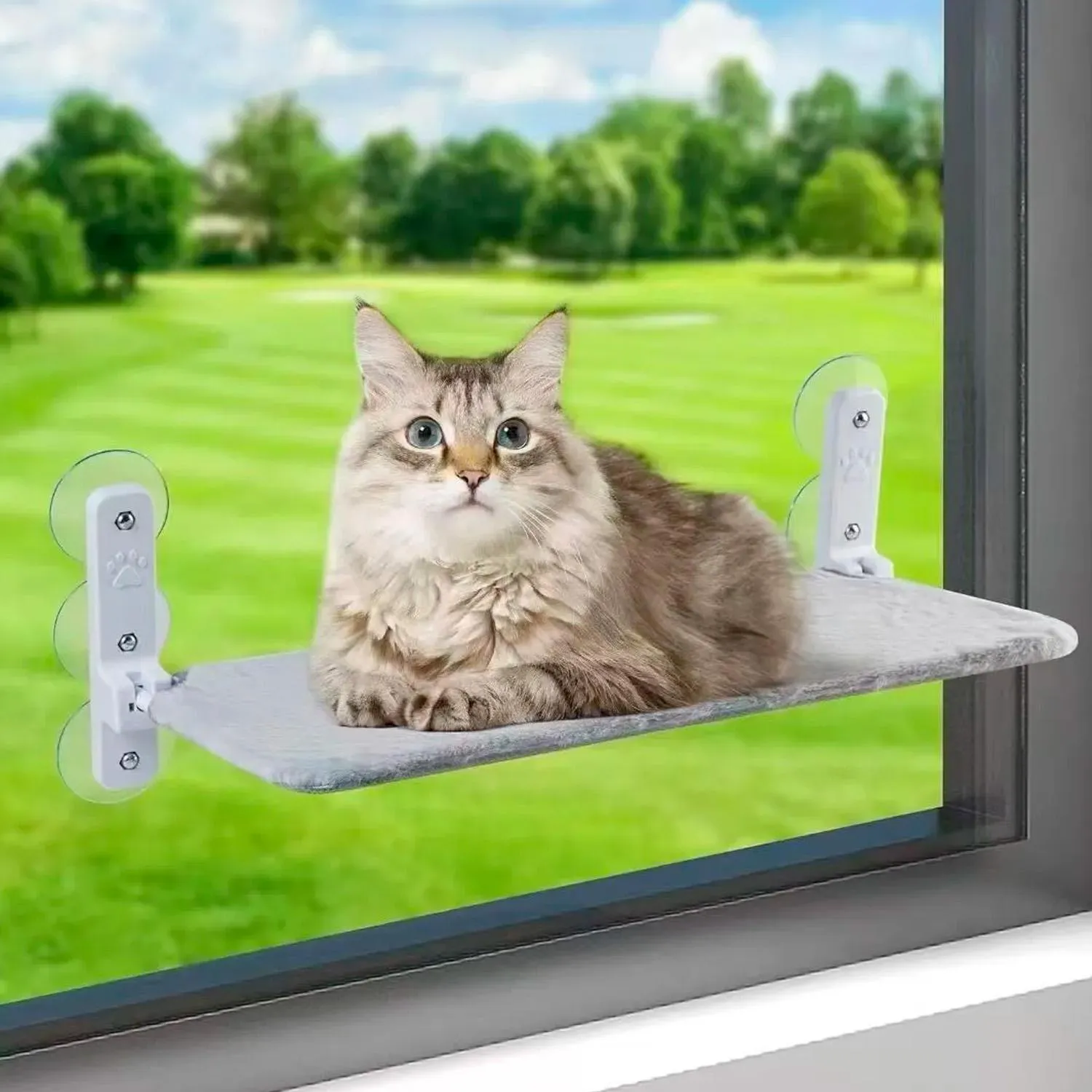 Cama hamaca flotante gato ventana percha plegable mascotas 7